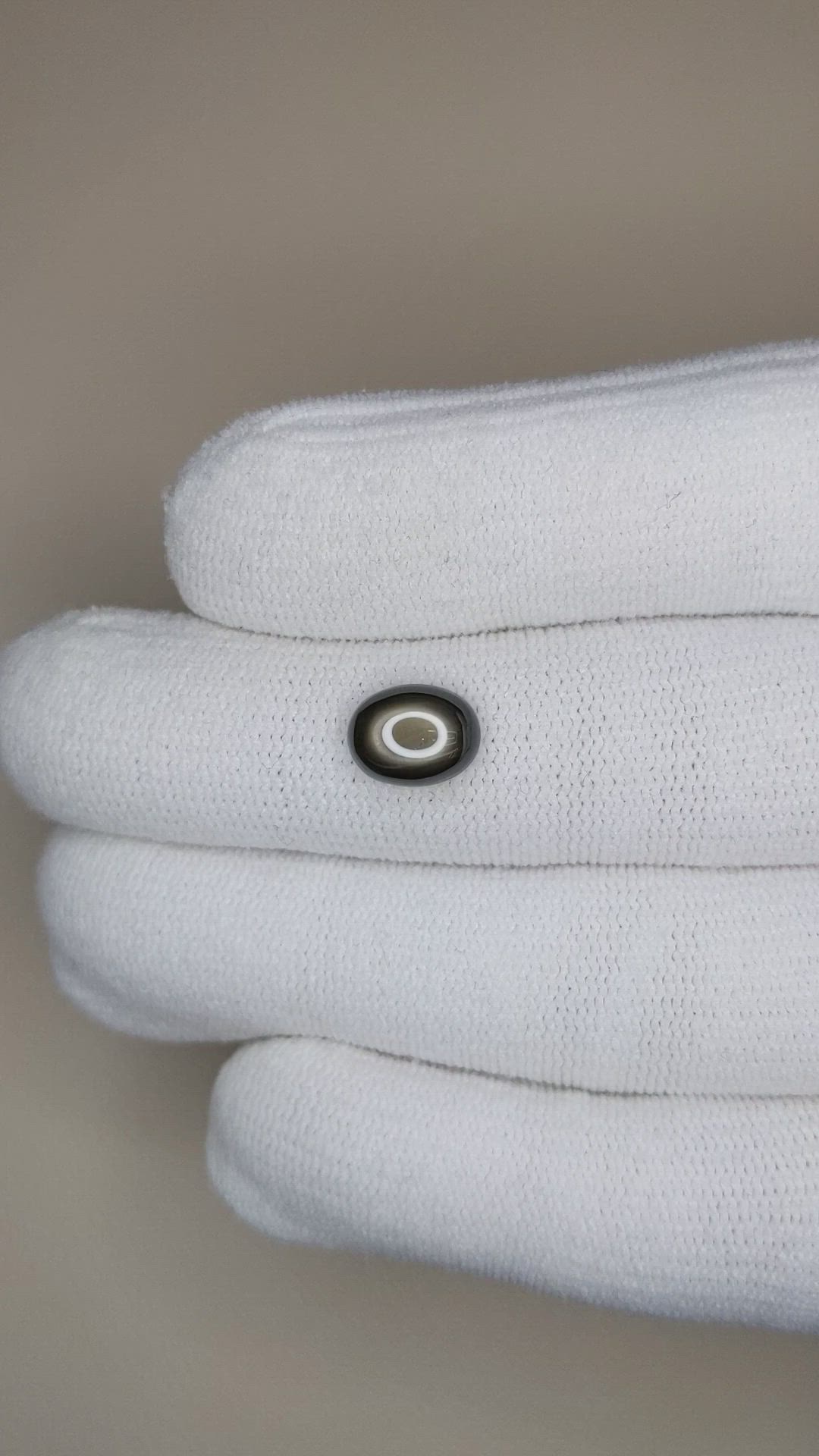 3.29 Ct. Black Star Sapphire from Ceylon (Sri Lanka) Size Video
