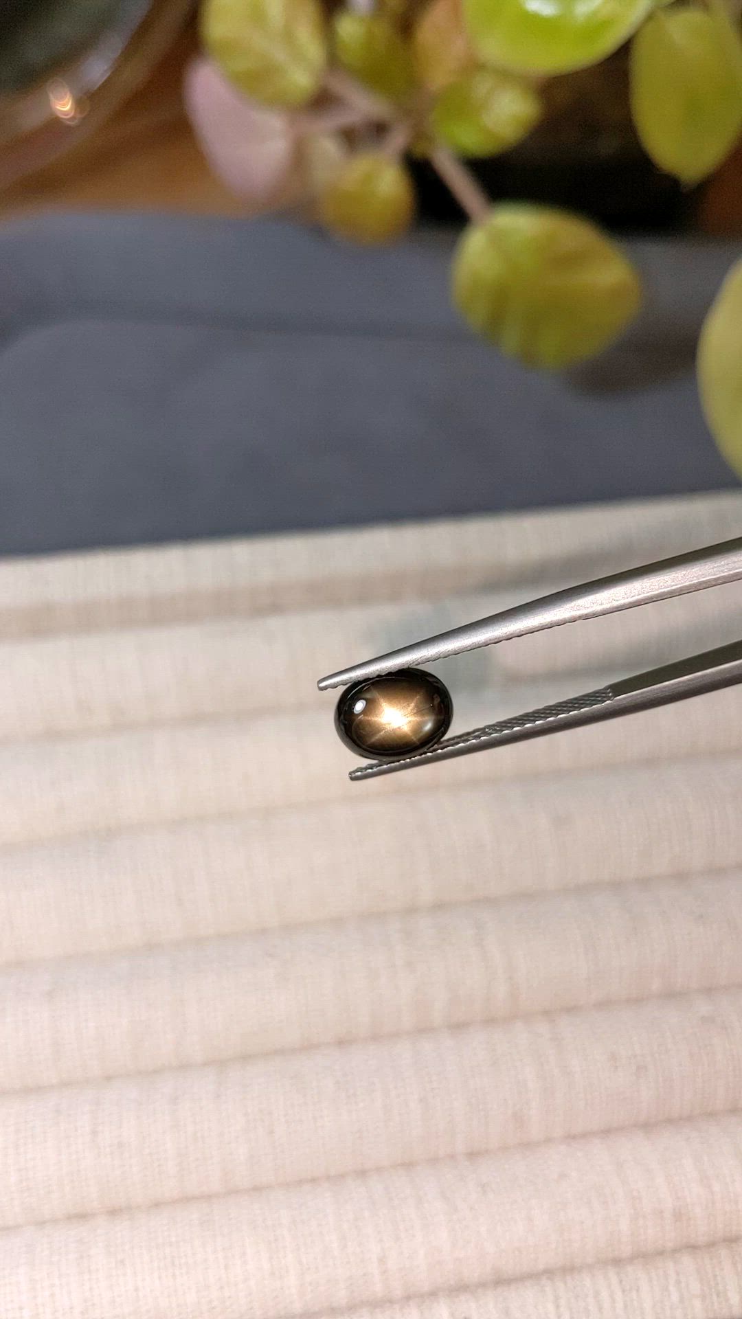 3.29 Ct. Black Star Sapphire from Ceylon (Sri Lanka) Size Video