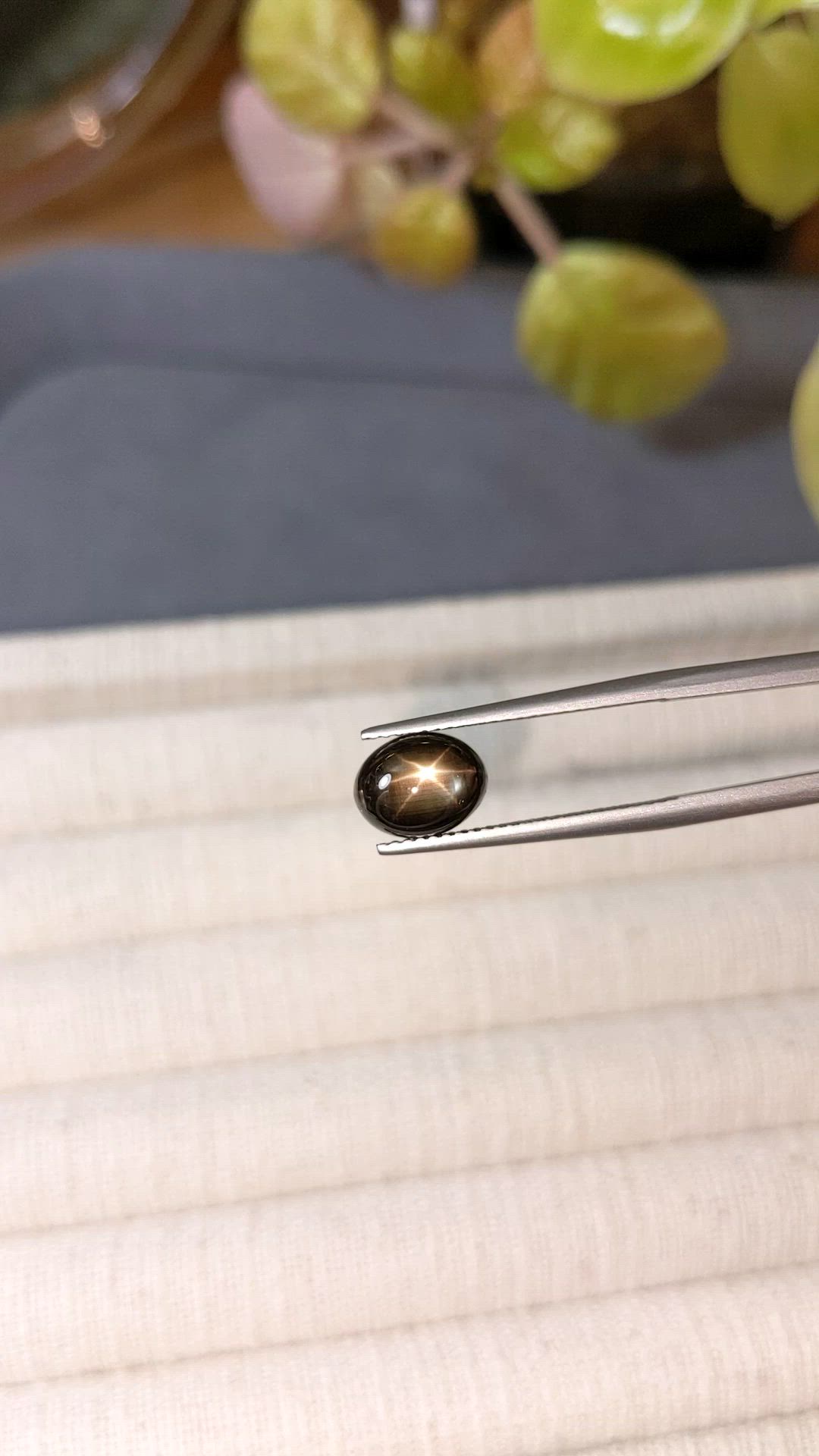 3.27 Ct. Black Star Sapphire from Ceylon (Sri Lanka) Size Video