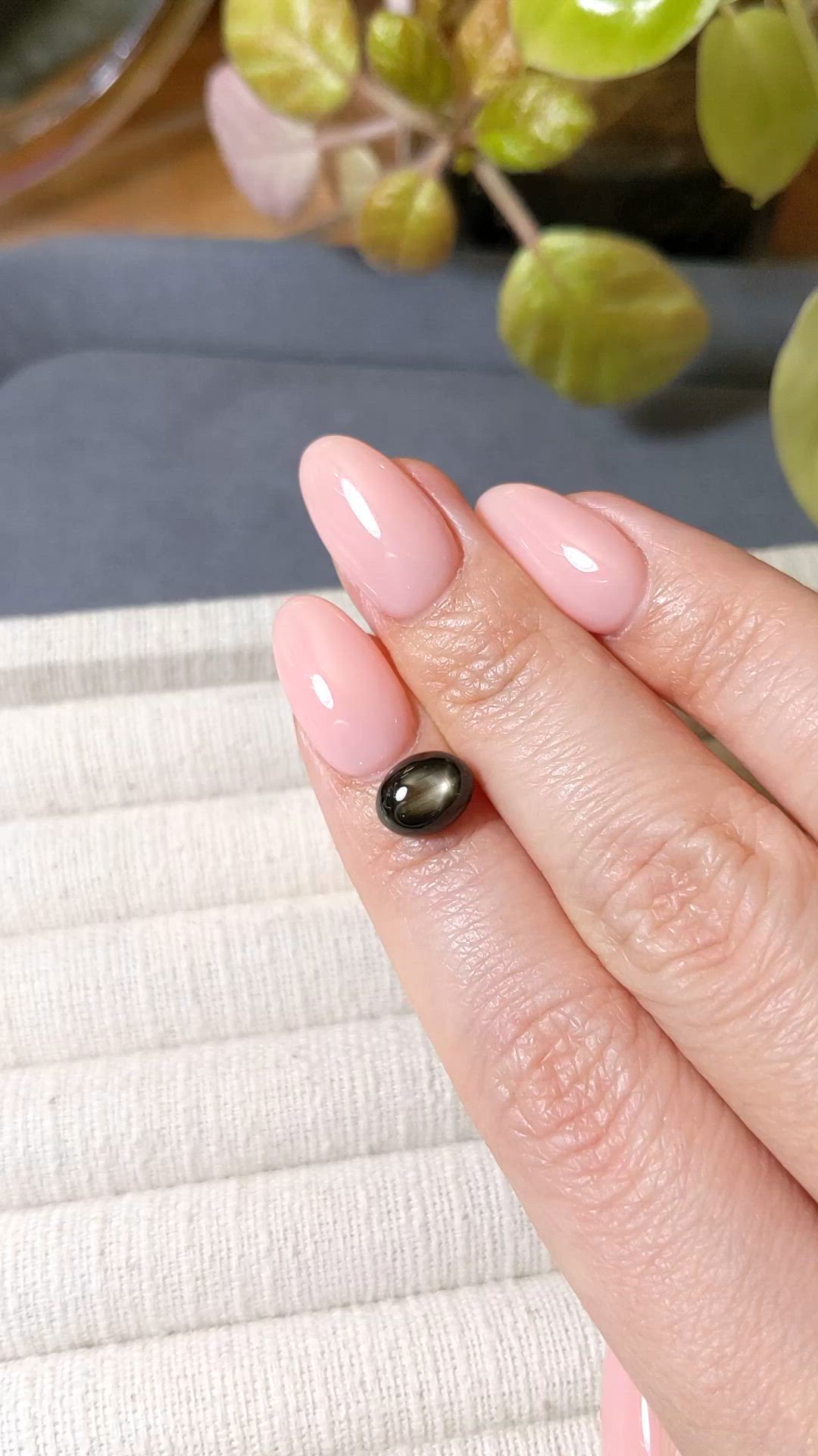 3.27 Ct. Black Star Sapphire from Ceylon (Sri Lanka) Size Video