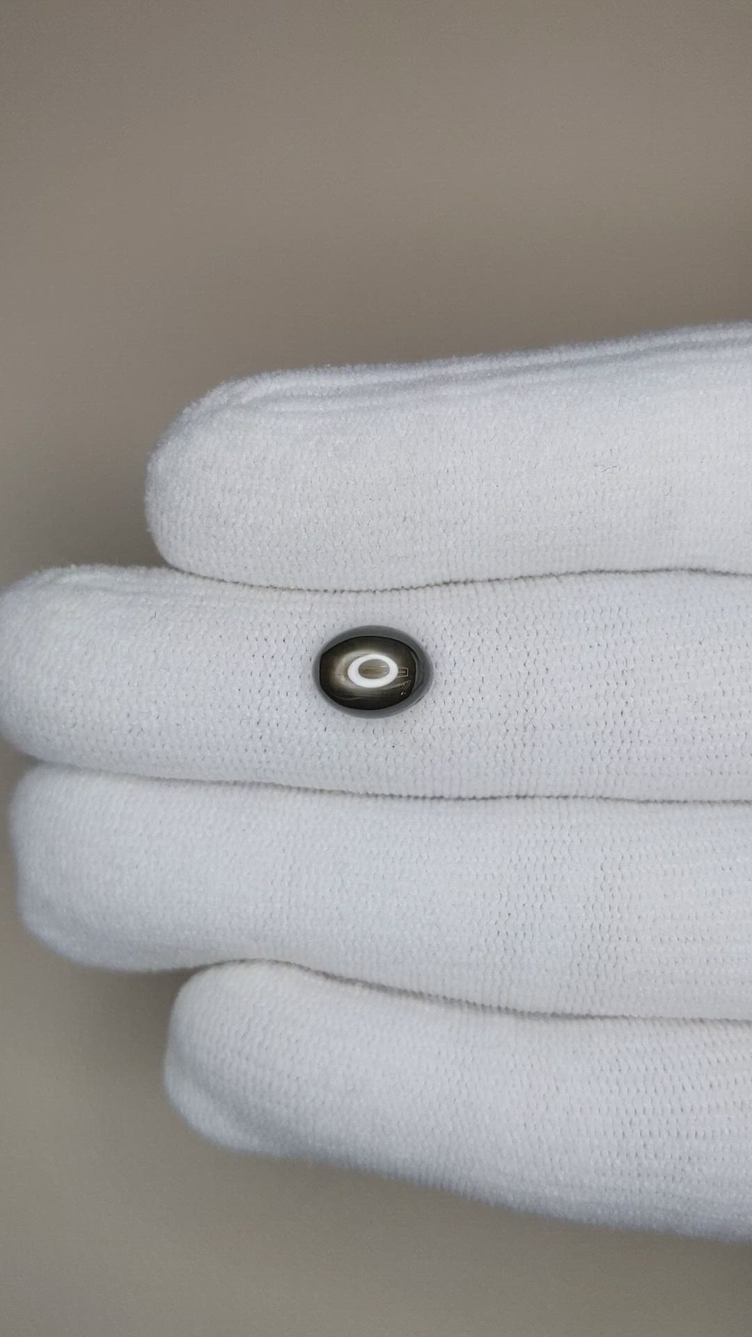 3.27 Ct. Black Star Sapphire from Ceylon (Sri Lanka) Size Video