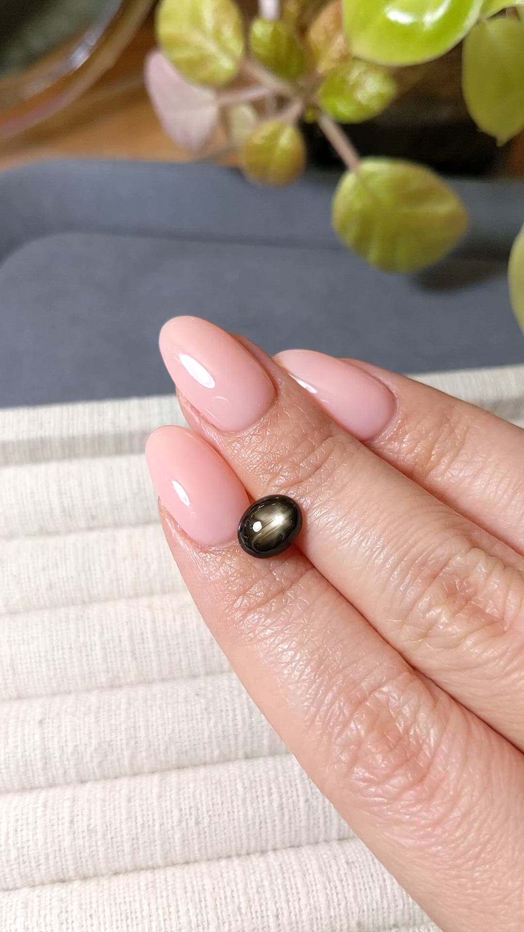 2.36 Ct. Black Star Sapphire from Ceylon (Sri Lanka) Size Video