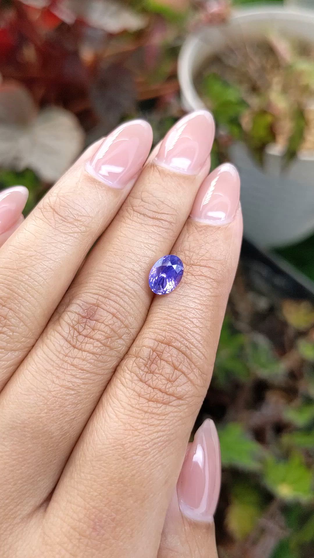 2.12 Ct. Purple Sapphire from Ceylon (Sri Lanka) Size Video