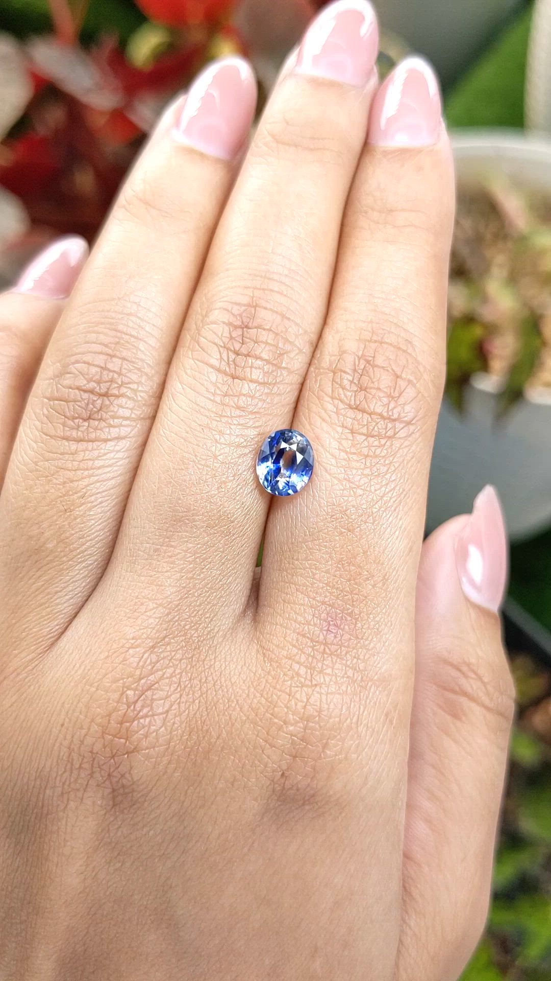 2.04 Ct. Bi Color / Parti Sapphire from Ceylon (Sri Lanka) Size Video