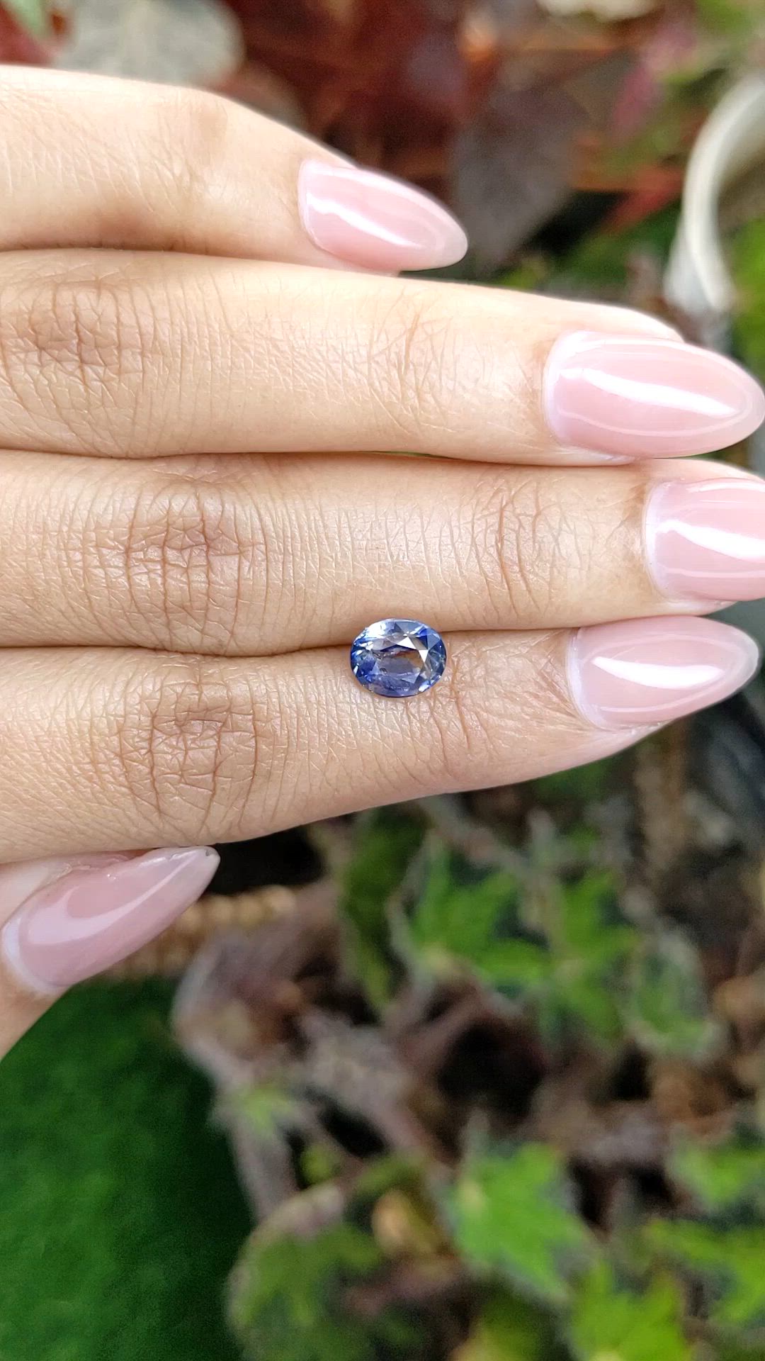 2.04 Ct. Bi Color / Parti Sapphire from Ceylon (Sri Lanka) Size Video