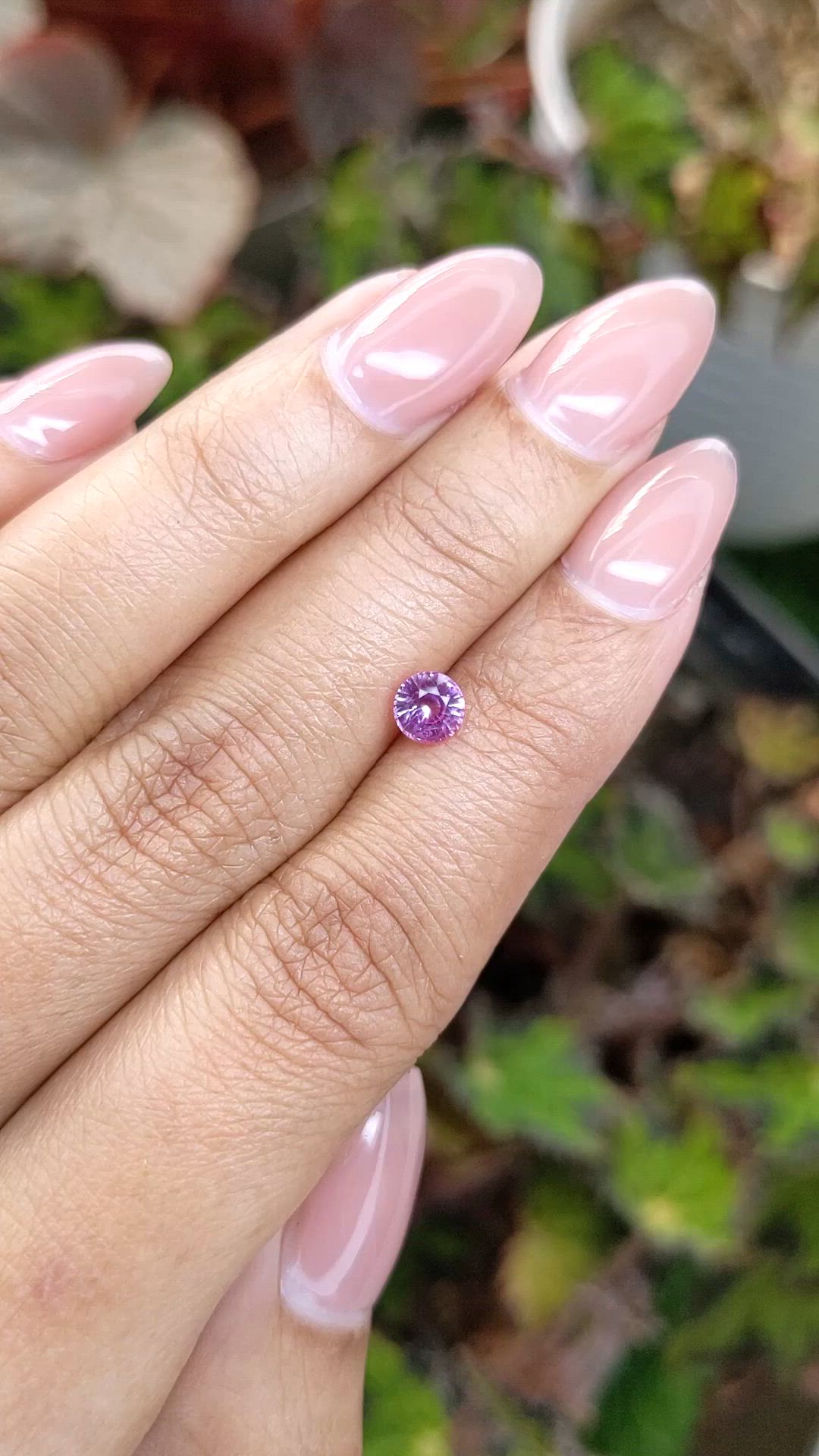 0.67 Ct. Pink Sapphire from Ceylon (Sri Lanka) Size Video