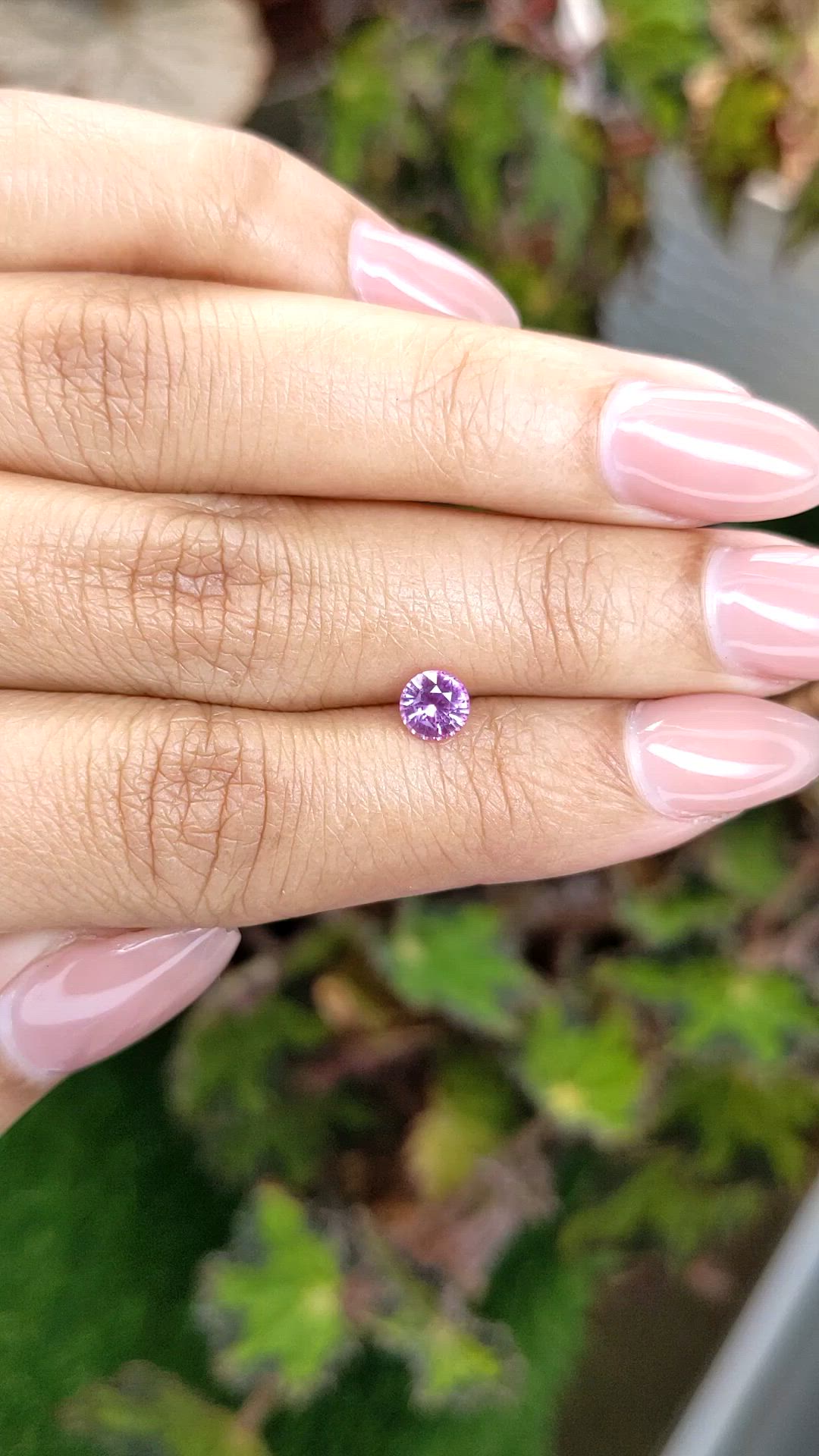 0.67 Ct. Pink Sapphire from Ceylon (Sri Lanka) Size Video