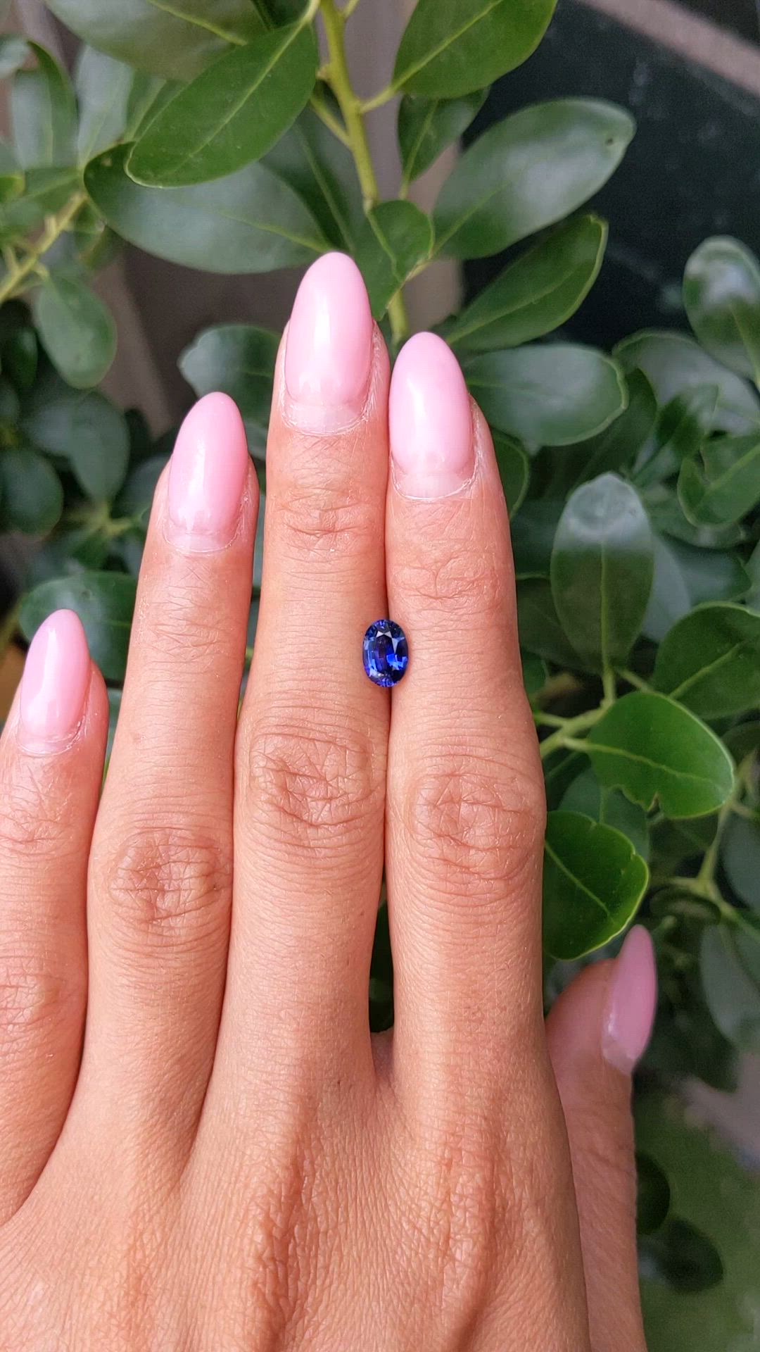 1.24 Ct. Blue Sapphire from Ceylon (Sri Lanka) Size Video