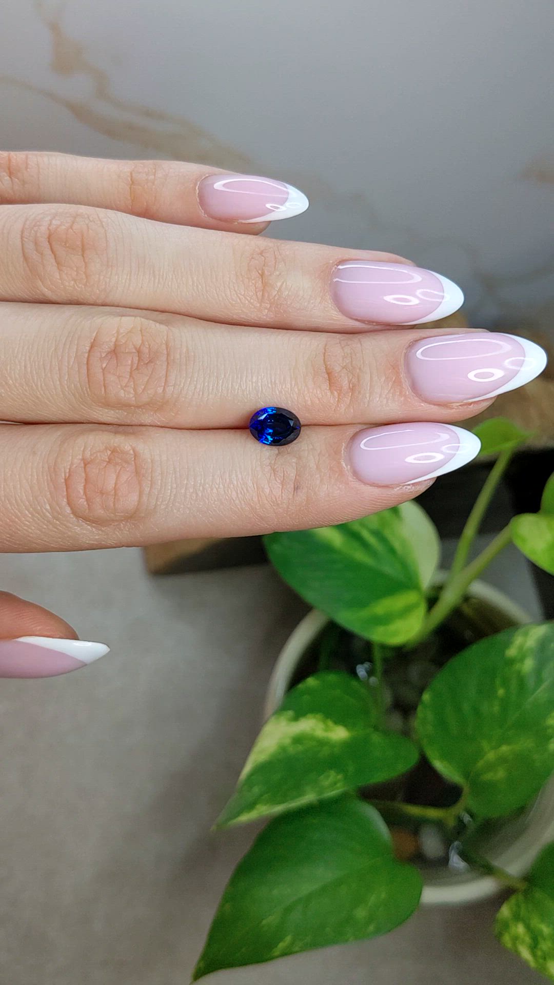 1.69 Ct. Blue Sapphire from Ceylon (Sri Lanka) Size Video