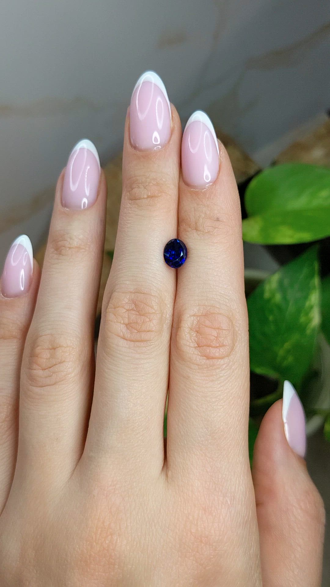 1.70 Ct. Blue Sapphire from Ceylon (Sri Lanka) Size Video