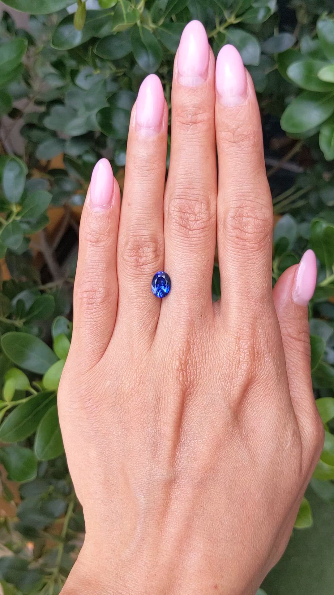 1.72 Ct. Blue Sapphire from Ceylon (Sri Lanka) Size Video