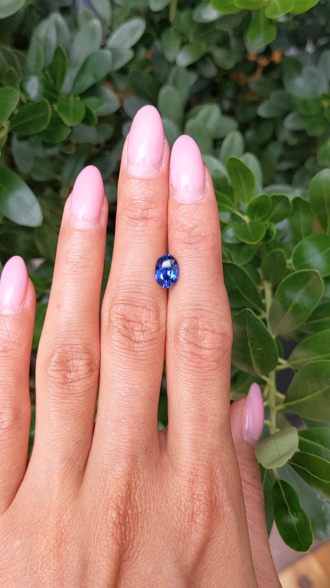 1.81 Ct. Blue Sapphire from Ceylon (Sri Lanka) Size Video