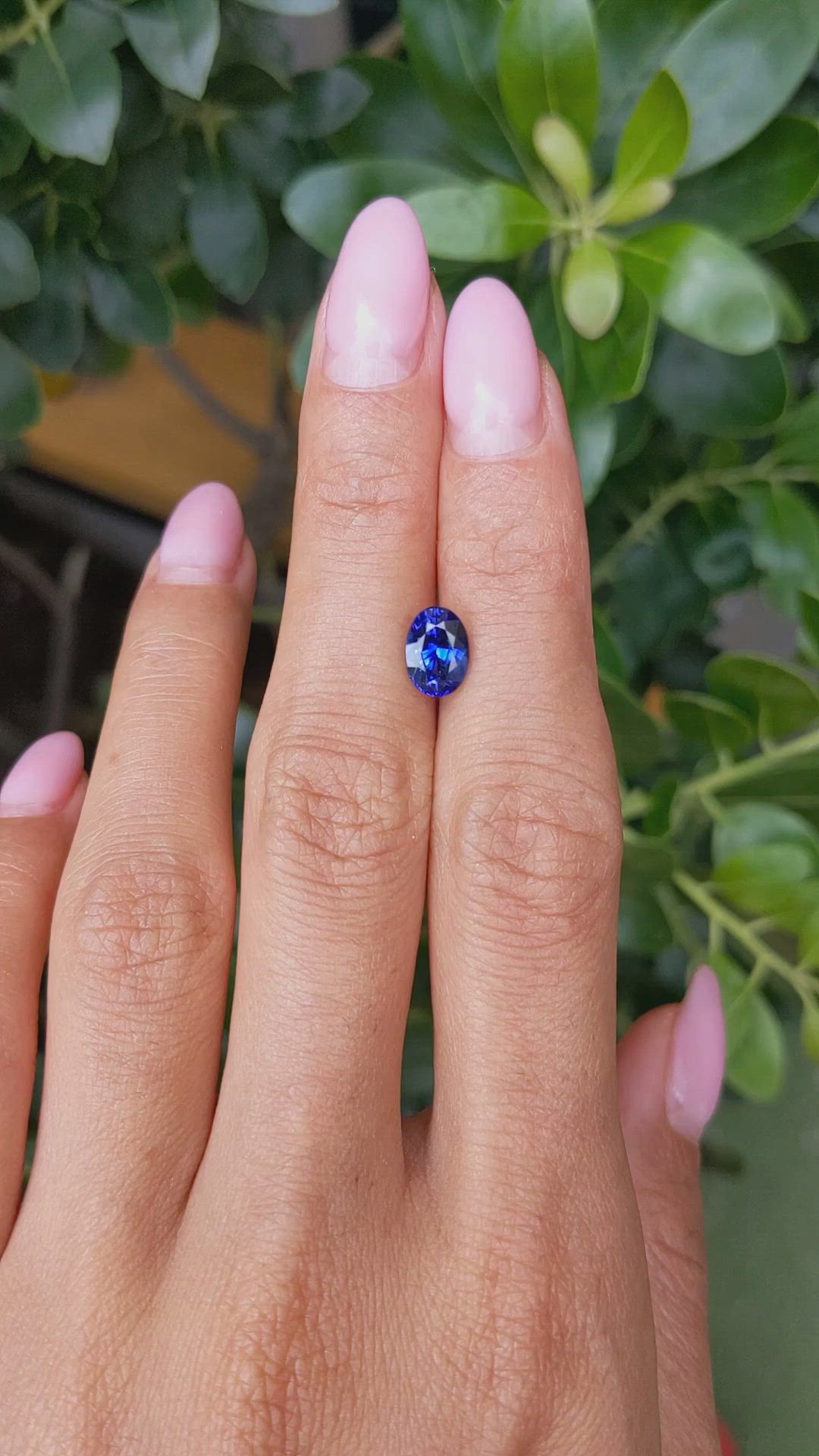 1.88 Ct. Blue Sapphire from Ceylon (Sri Lanka) Size Video