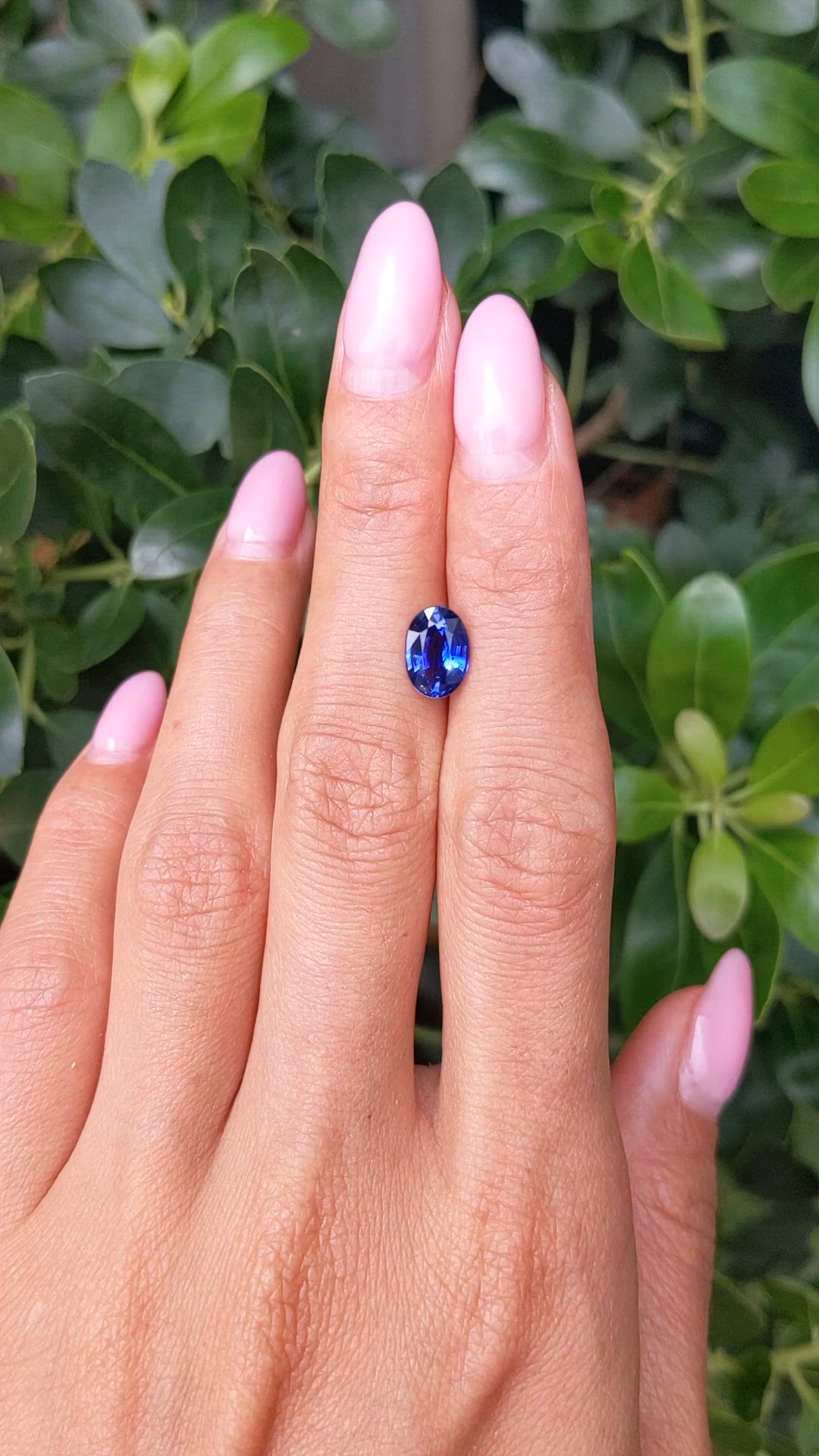 1.90 Ct. Blue Sapphire from Ceylon (Sri Lanka) Size Video