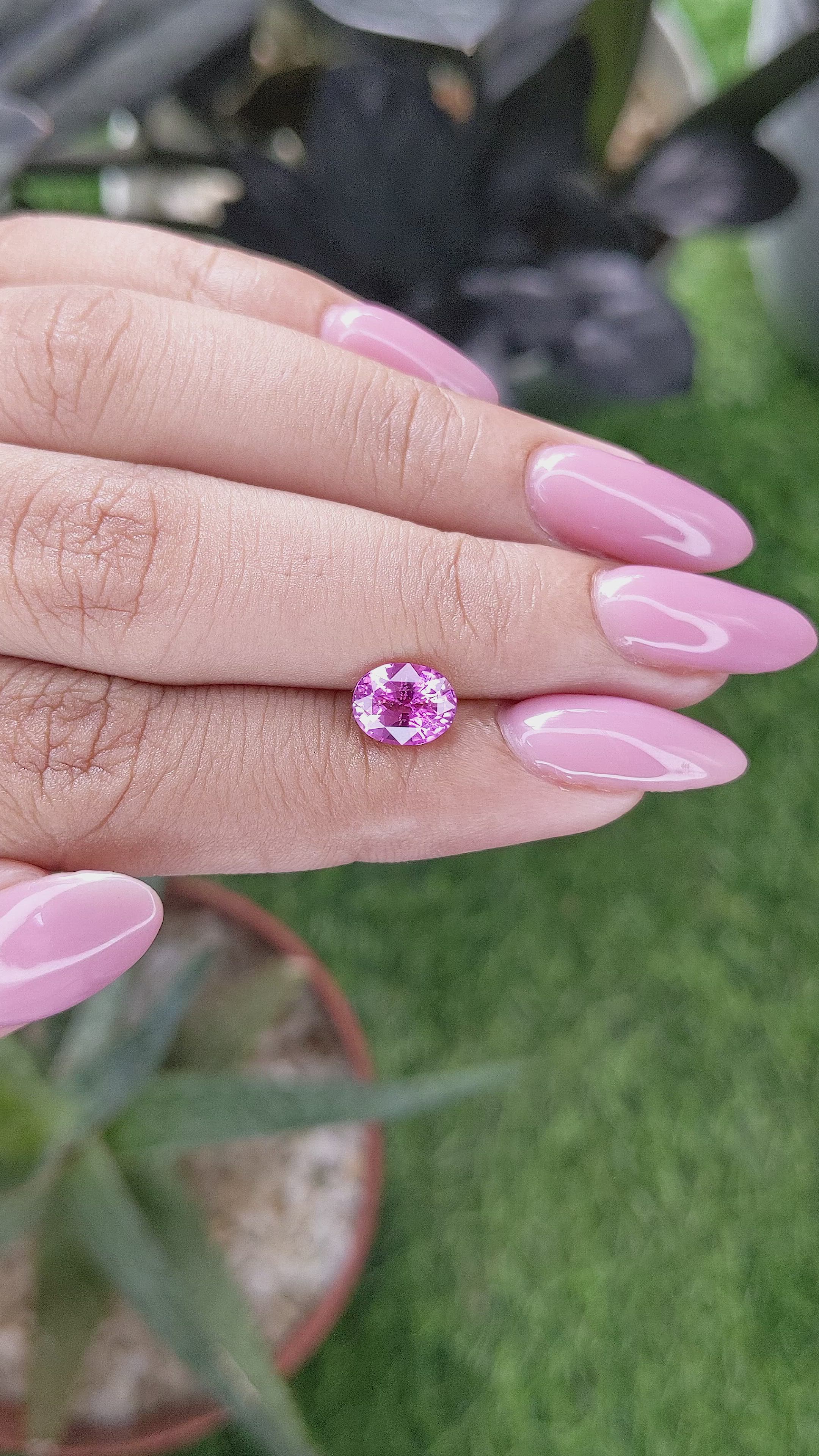 1.55 Ct. Purplish Pink Sapphire from Madagascar Size Video