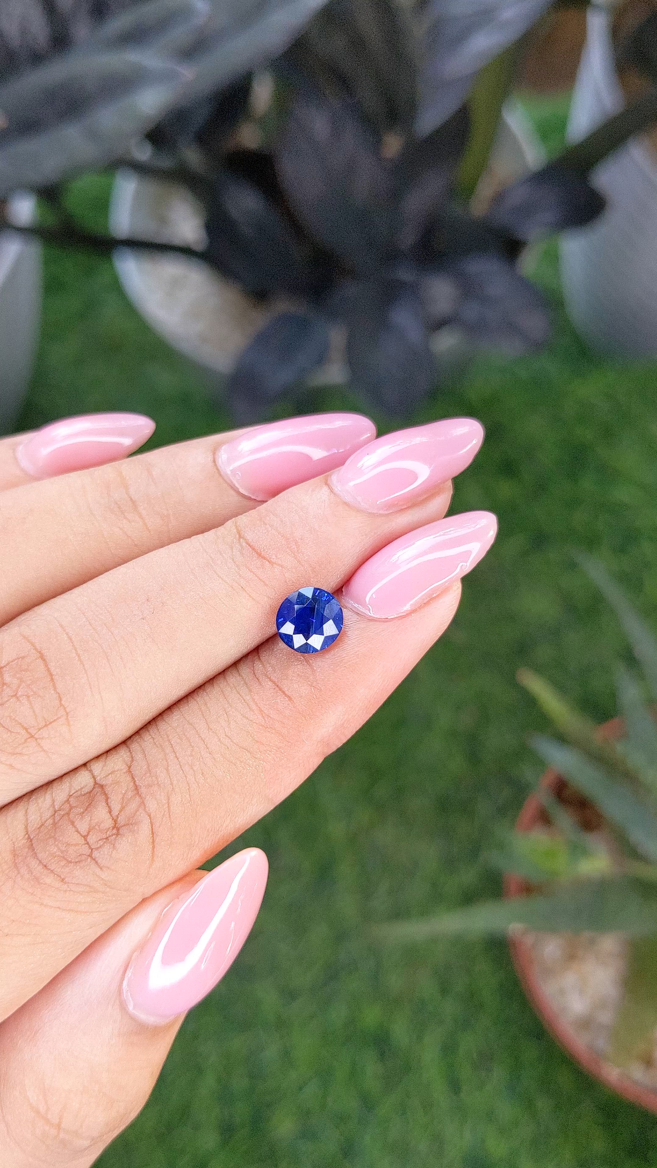 1.53 Ct. Blue Sapphire from Ceylon (Sri Lanka) Size Video