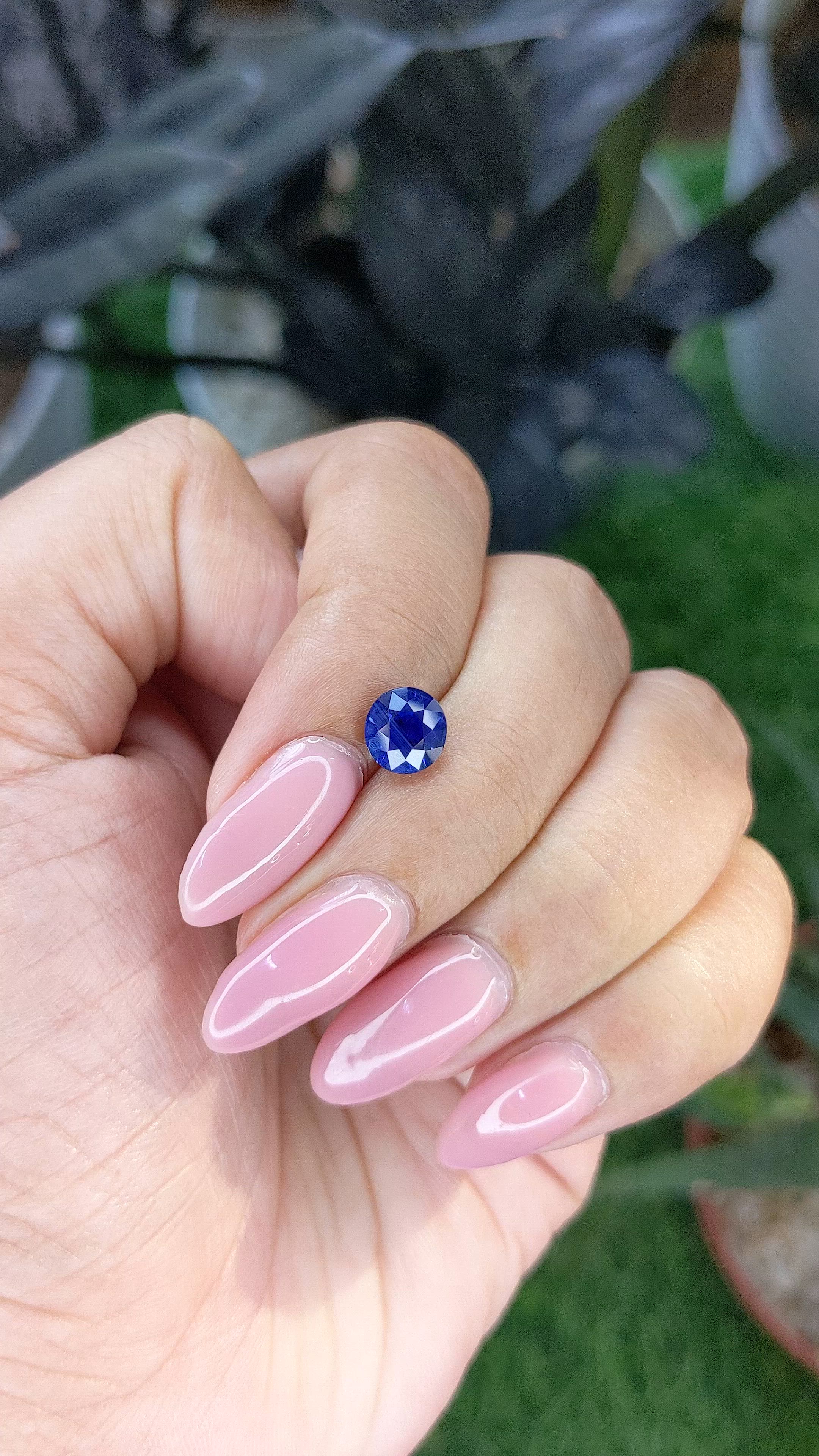 1.53 Ct. Blue Sapphire from Ceylon (Sri Lanka) Size Video