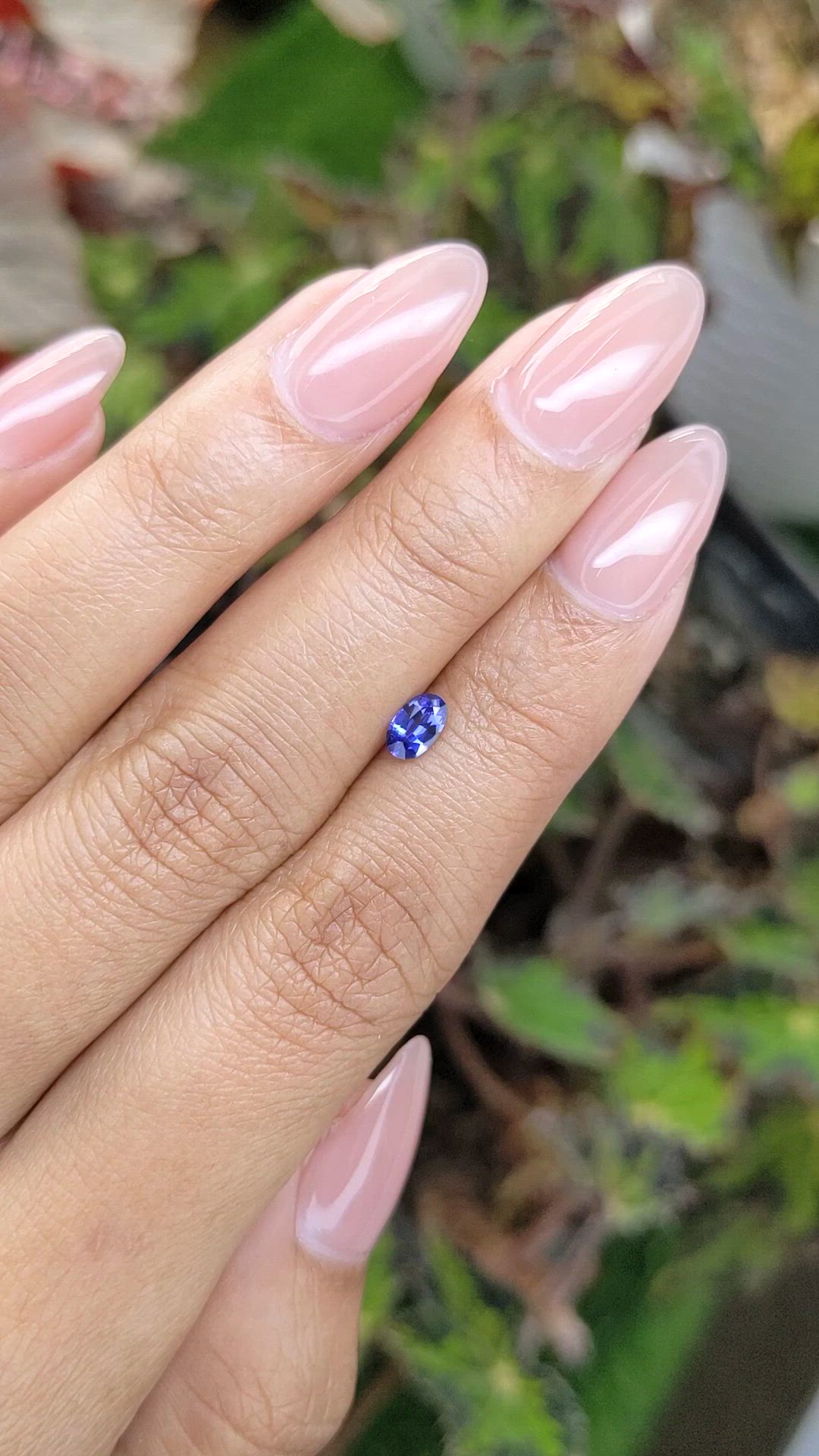 0.35 Ct. Blue Sapphire from Ceylon (Sri Lanka) Size Video