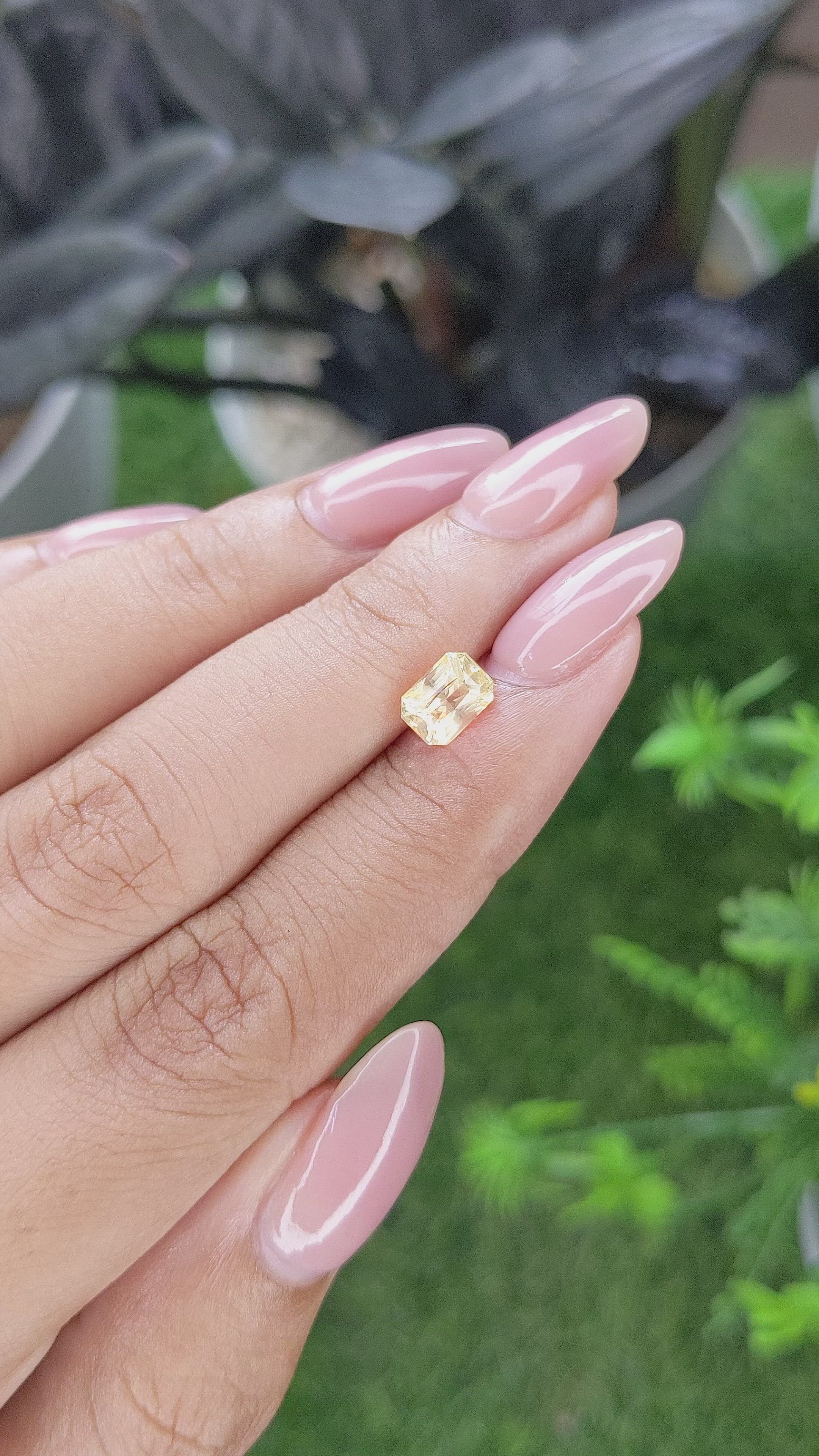 1.43 Ct. Yellow Sapphire from Ceylon (Sri Lanka) Size Video