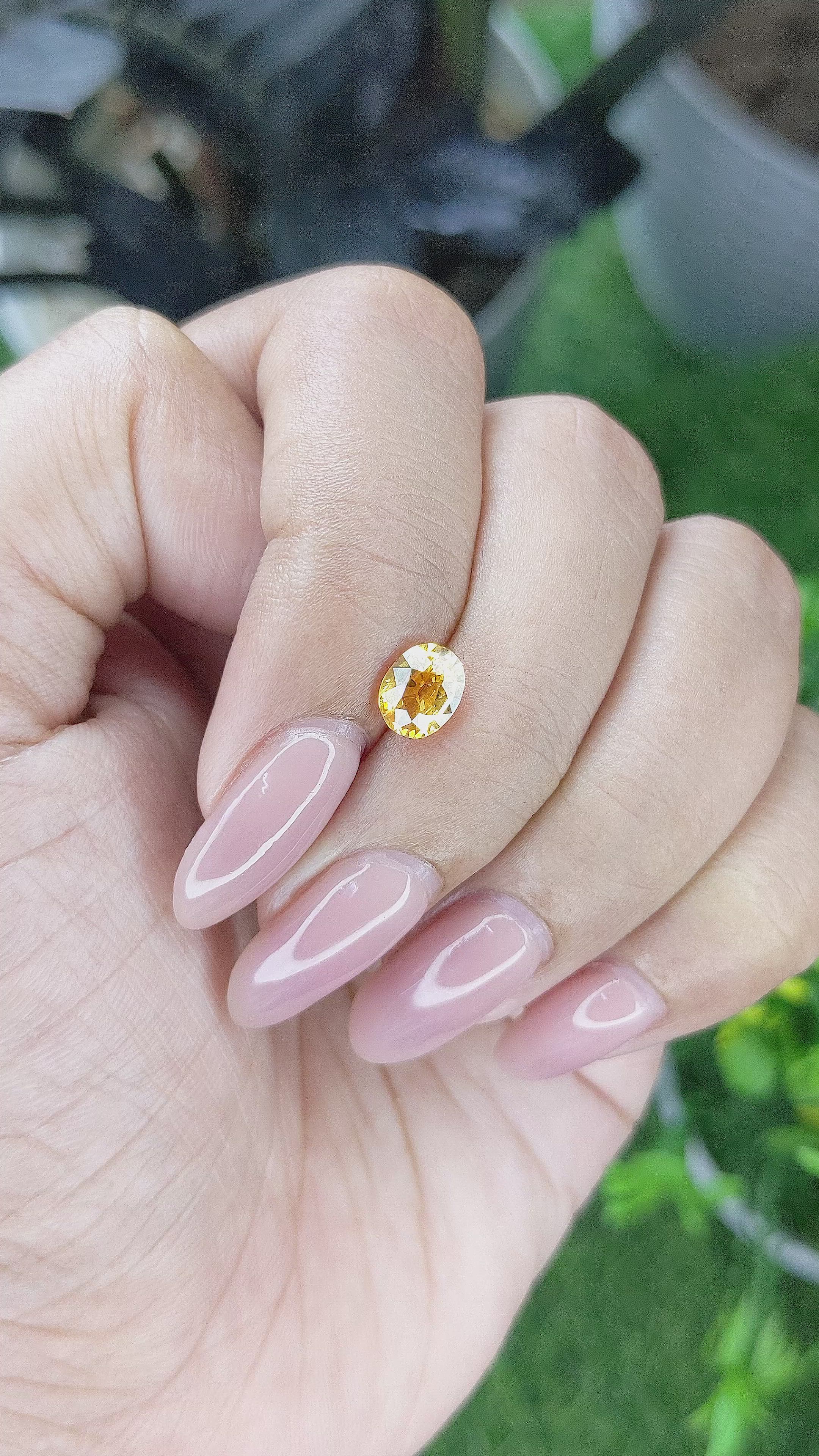1.05 Ct. Yellow Sapphire from Ceylon (Sri Lanka) Size Video