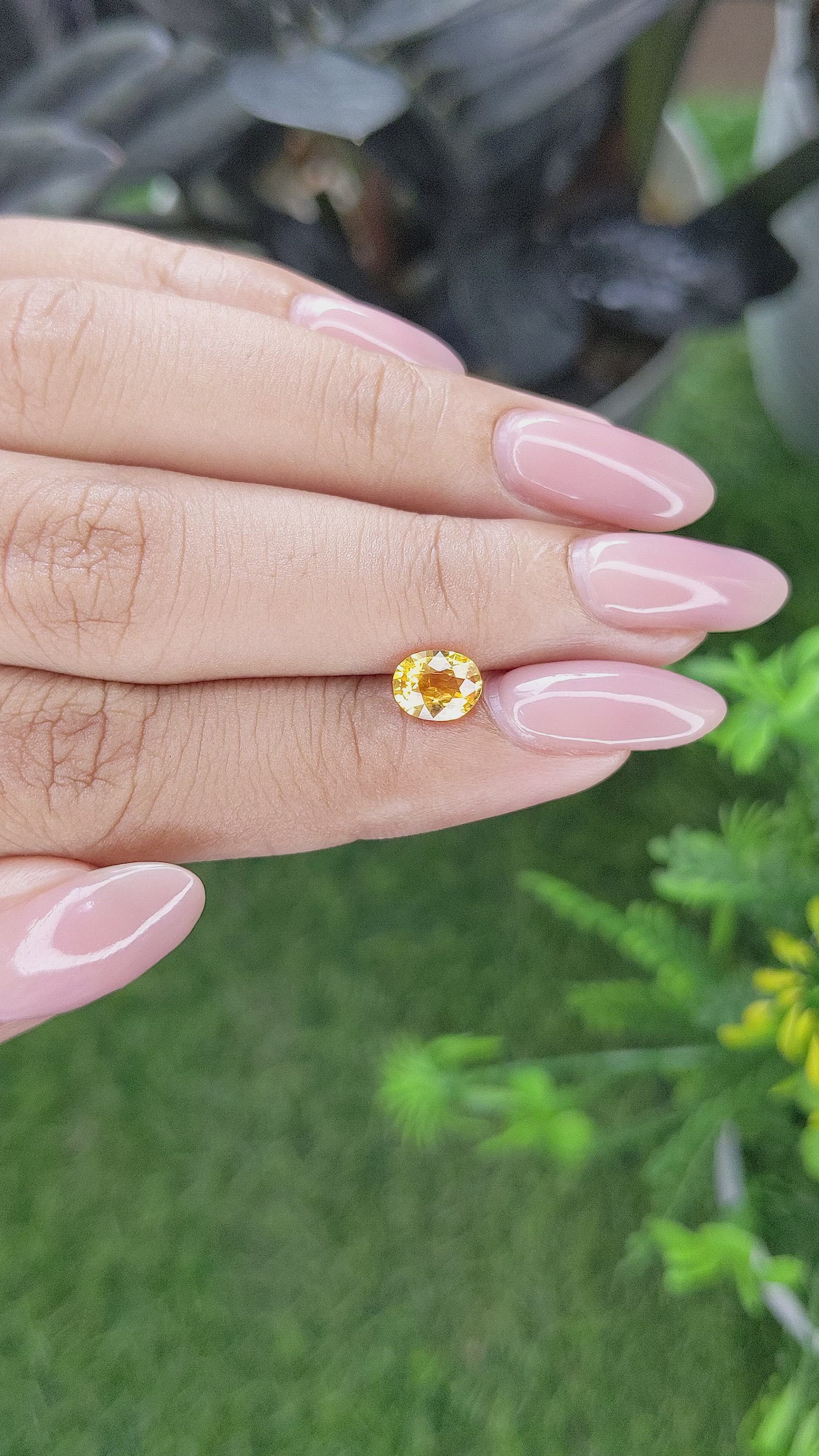 1.05 Ct. Yellow Sapphire from Ceylon (Sri Lanka) Size Video