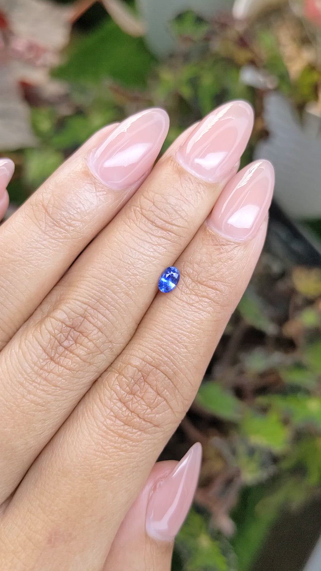 0.29 Ct. Blue Sapphire from Ceylon (Sri Lanka) Size Video