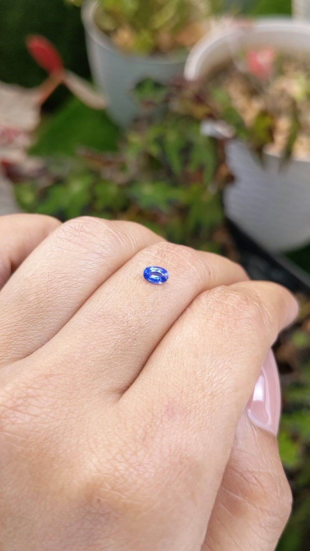 0.29 Ct. Blue Sapphire from Ceylon (Sri Lanka) Size Video