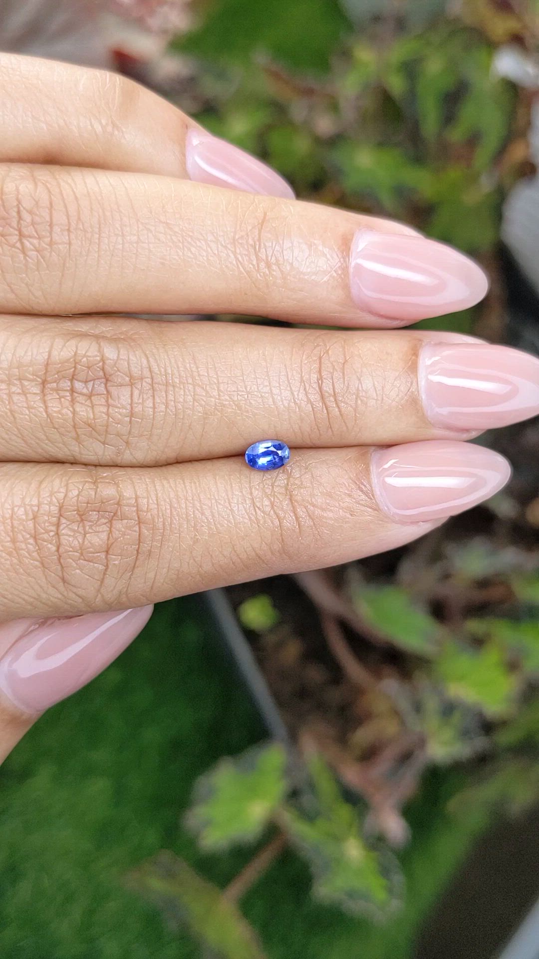 0.29 Ct. Blue Sapphire from Ceylon (Sri Lanka) Size Video