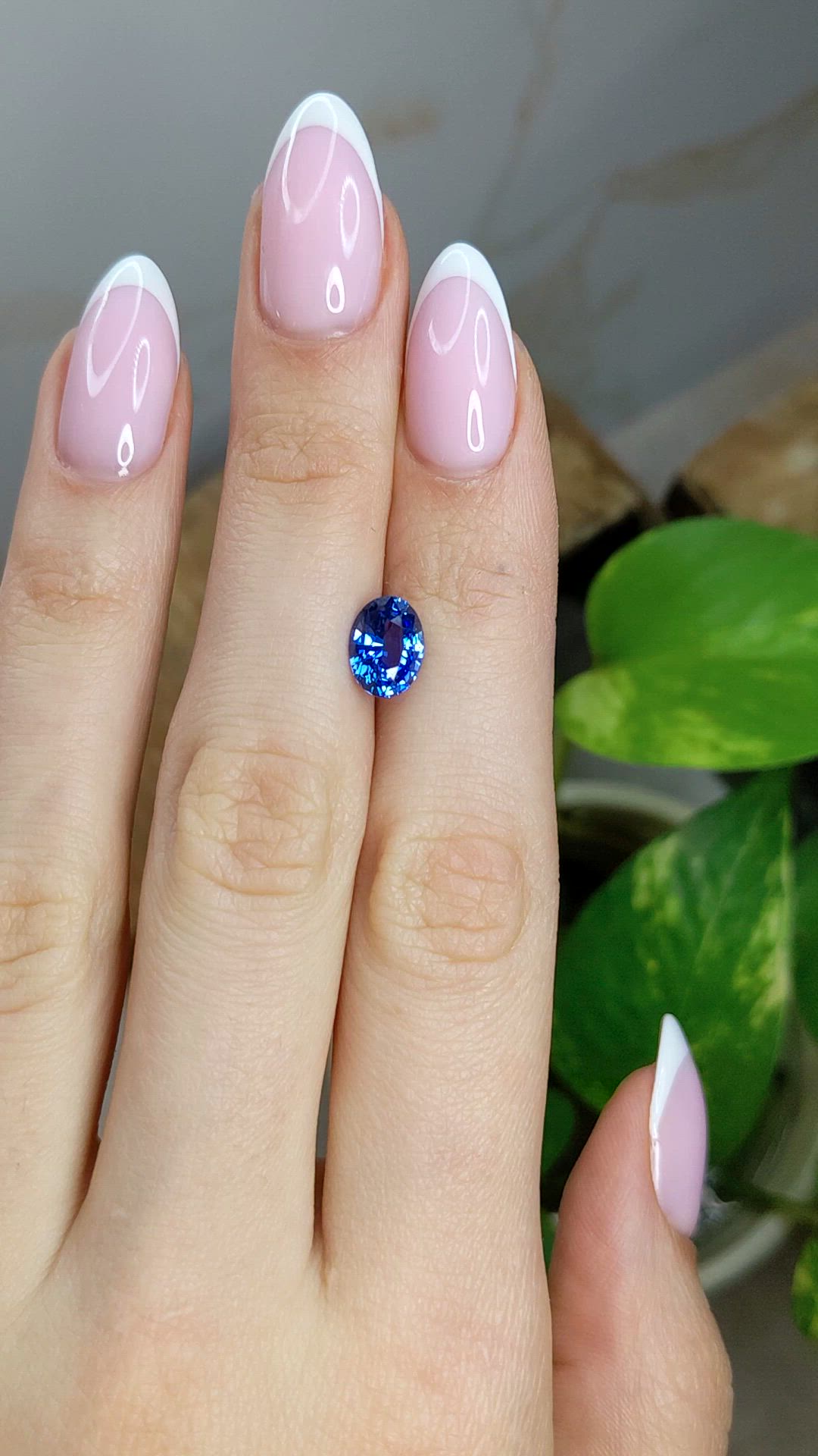 2.26 Ct. Blue Sapphire from Ceylon (Sri Lanka) Size Video