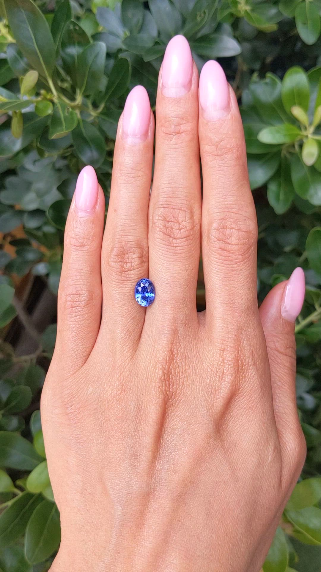 2.64 Ct. Blue Sapphire from Ceylon (Sri Lanka) Size Video