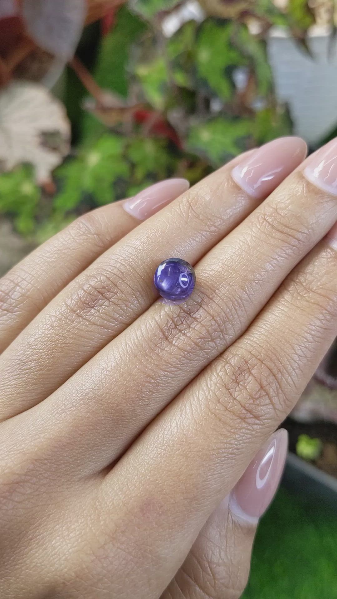 4.23 Ct. Purple Star Sapphire from Ceylon (Sri Lanka) Size Video