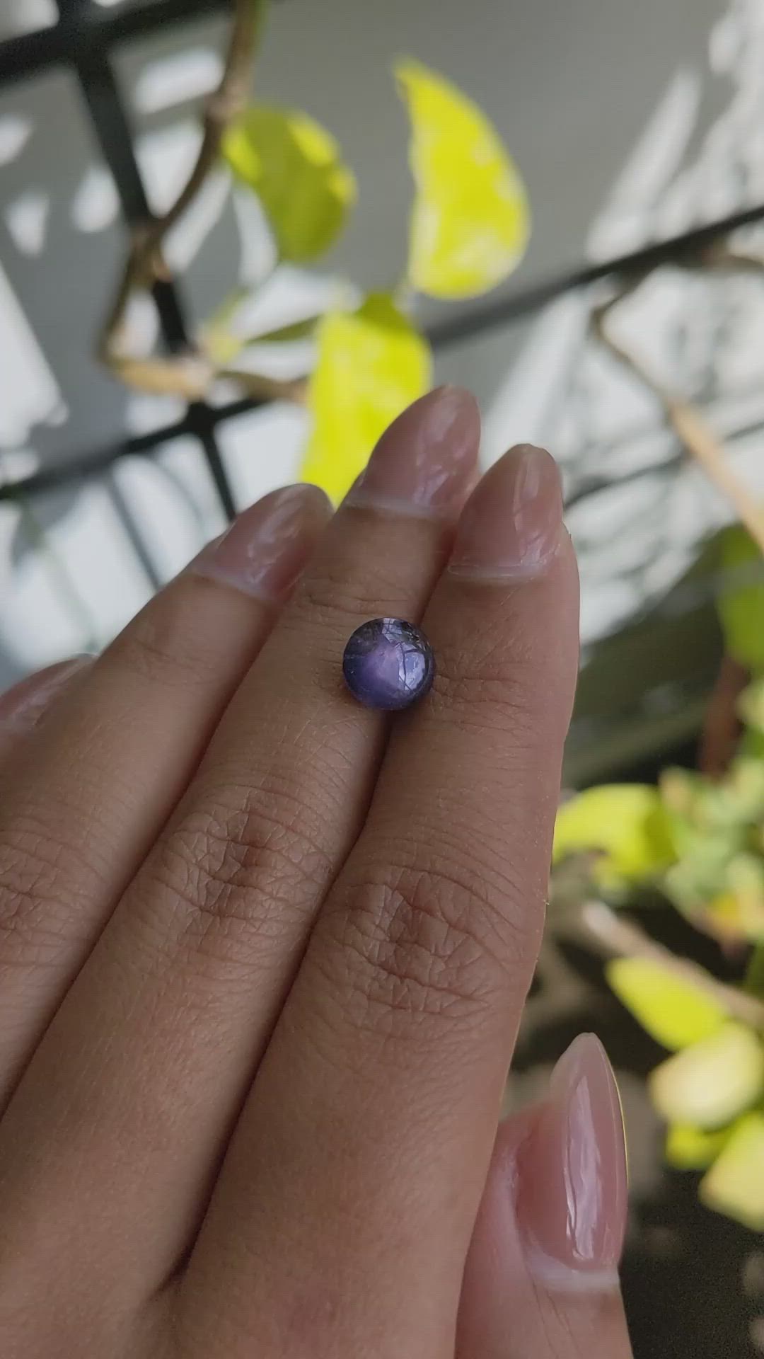 4.23 Ct. Purple Star Sapphire from Ceylon (Sri Lanka) Size Video