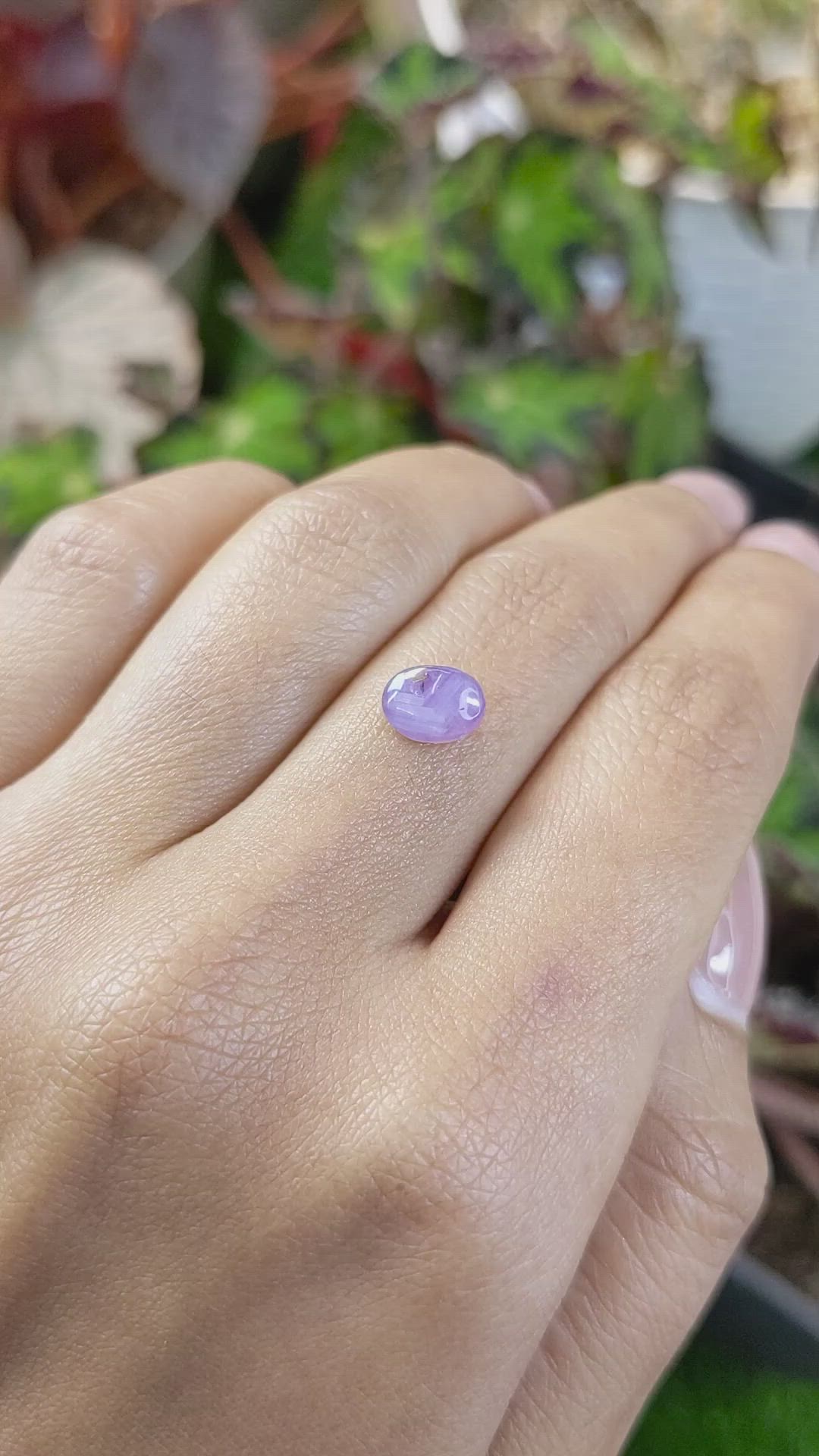 1.86 Ct. Pinkish Purple Star Sapphire from Ceylon (Sri Lanka) Size Video
