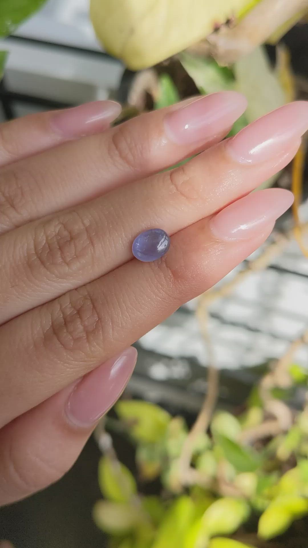 2.05 Ct. Bluish Purple Star Sapphire from Ceylon (Sri Lanka) Size Video