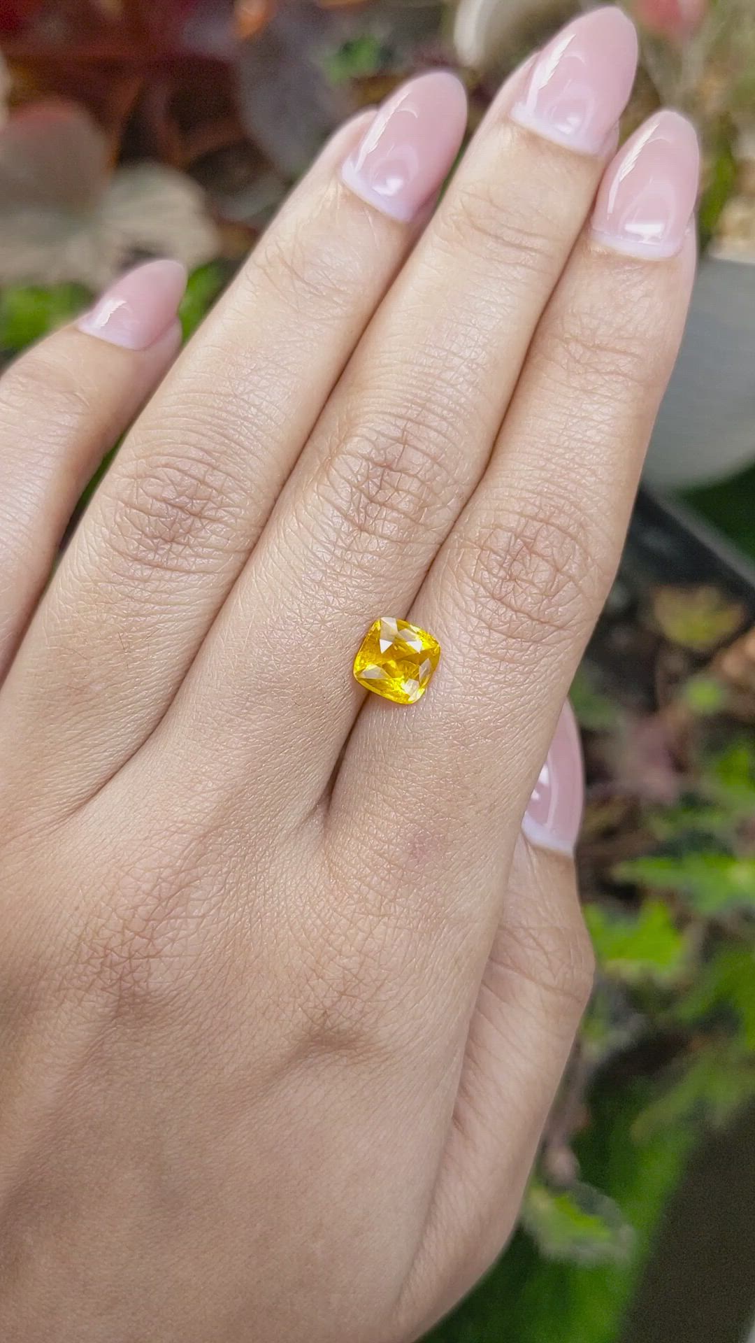 1.95 Ct. Yellow Sapphire from Ceylon (Sri Lanka) Size Video