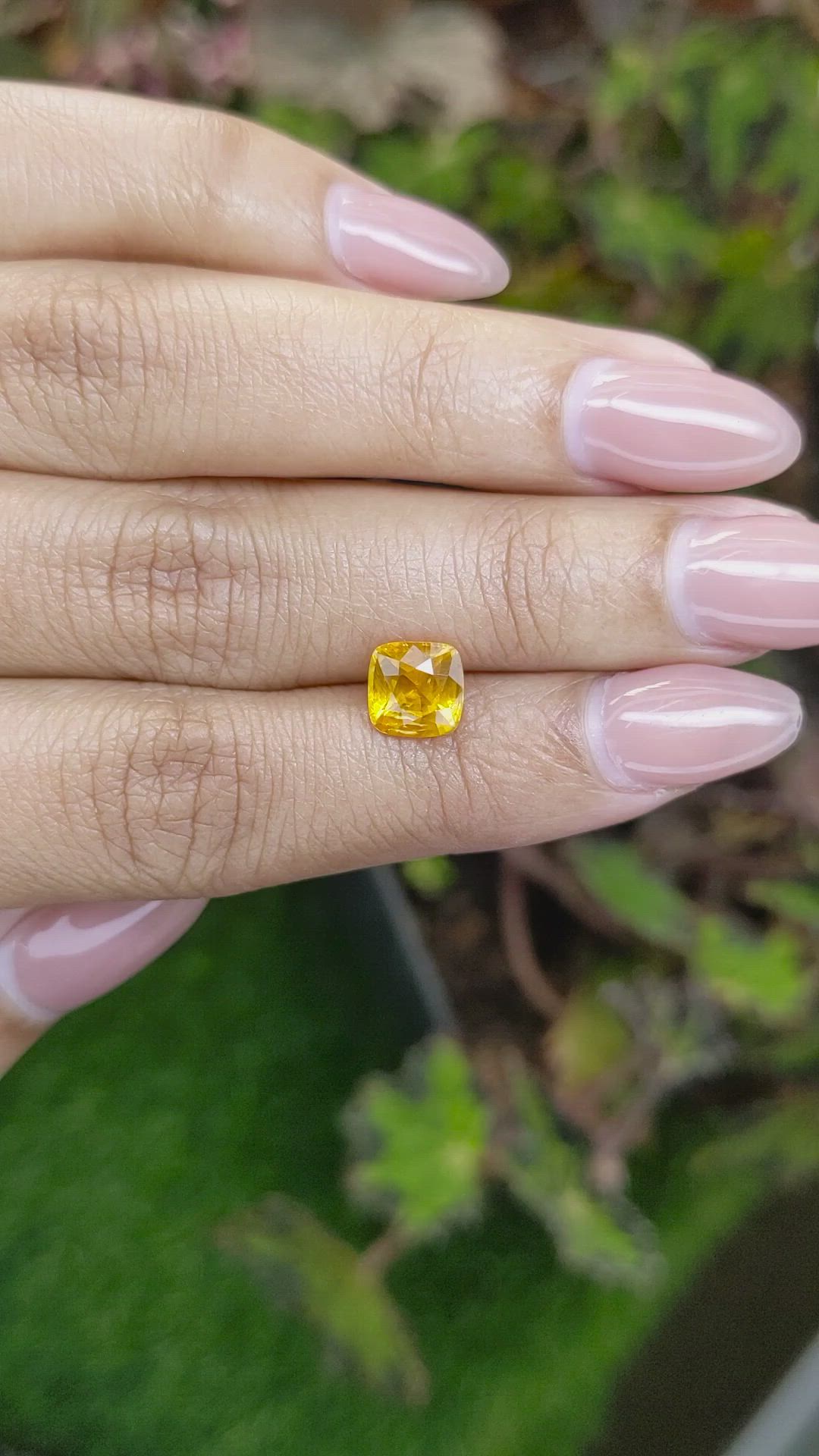 1.95 Ct. Yellow Sapphire from Ceylon (Sri Lanka) Size Video
