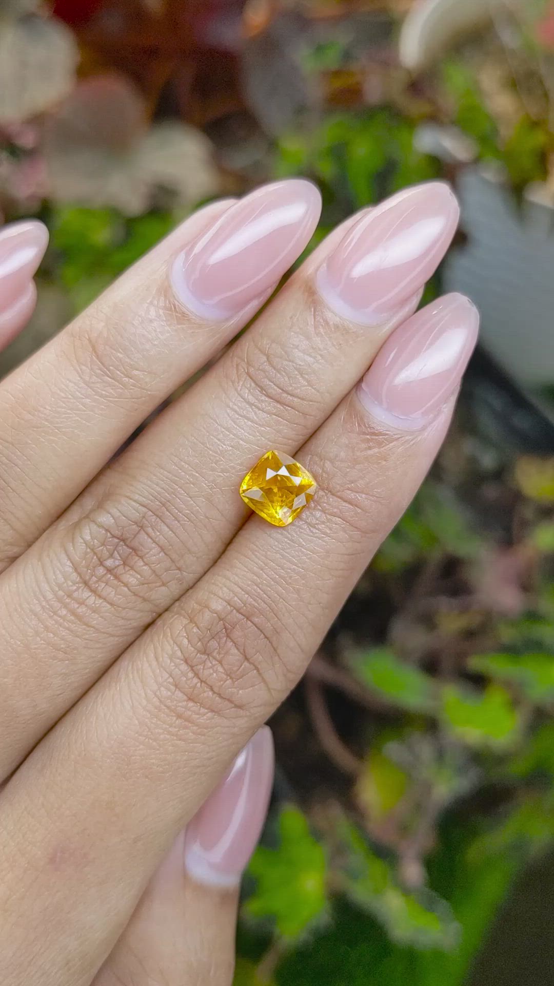 1.95 Ct. Yellow Sapphire from Ceylon (Sri Lanka) Size Video