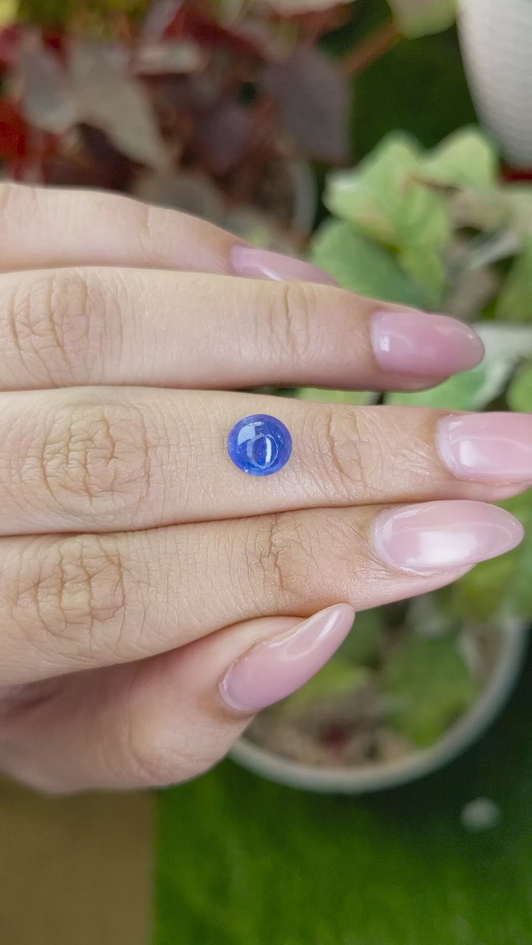 2.08 Ct. Blue Cabochon Sapphire from Ceylon (Sri Lanka) Size Video