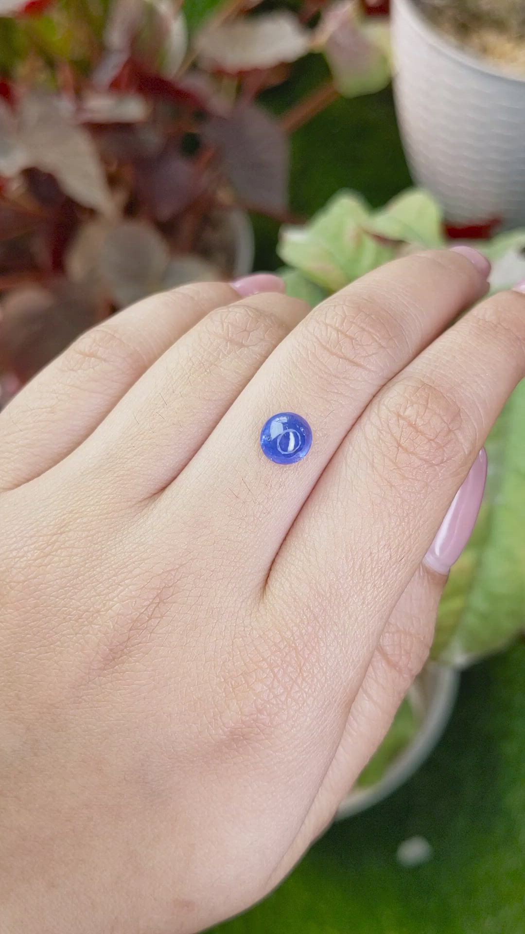 2.08 Ct. Blue Cabochon Sapphire from Ceylon (Sri Lanka) Size Video