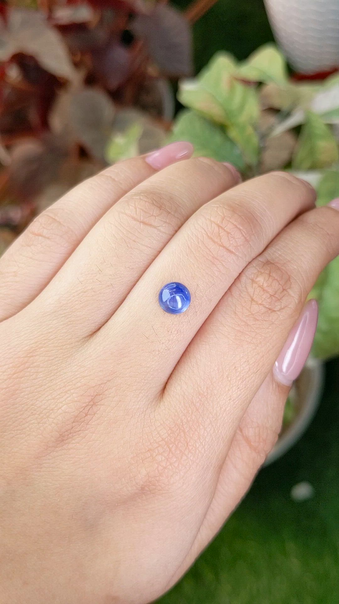 1.46 Ct. Blue Cabochon Sapphire from Ceylon (Sri Lanka) Size Video