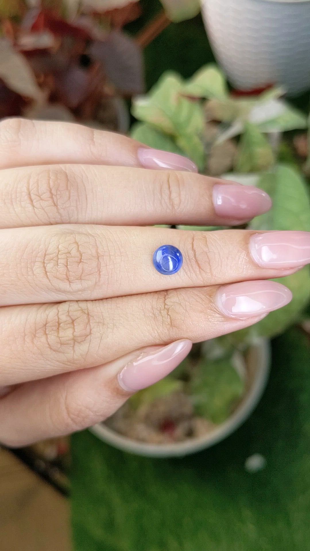 1.46 Ct. Blue Cabochon Sapphire from Ceylon (Sri Lanka) Size Video