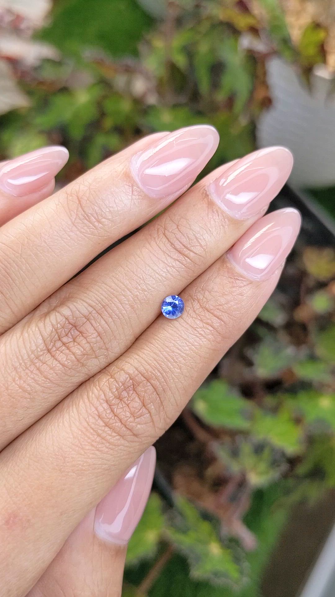 0.35 Ct. Blue Sapphire from Ceylon (Sri Lanka) Size Video