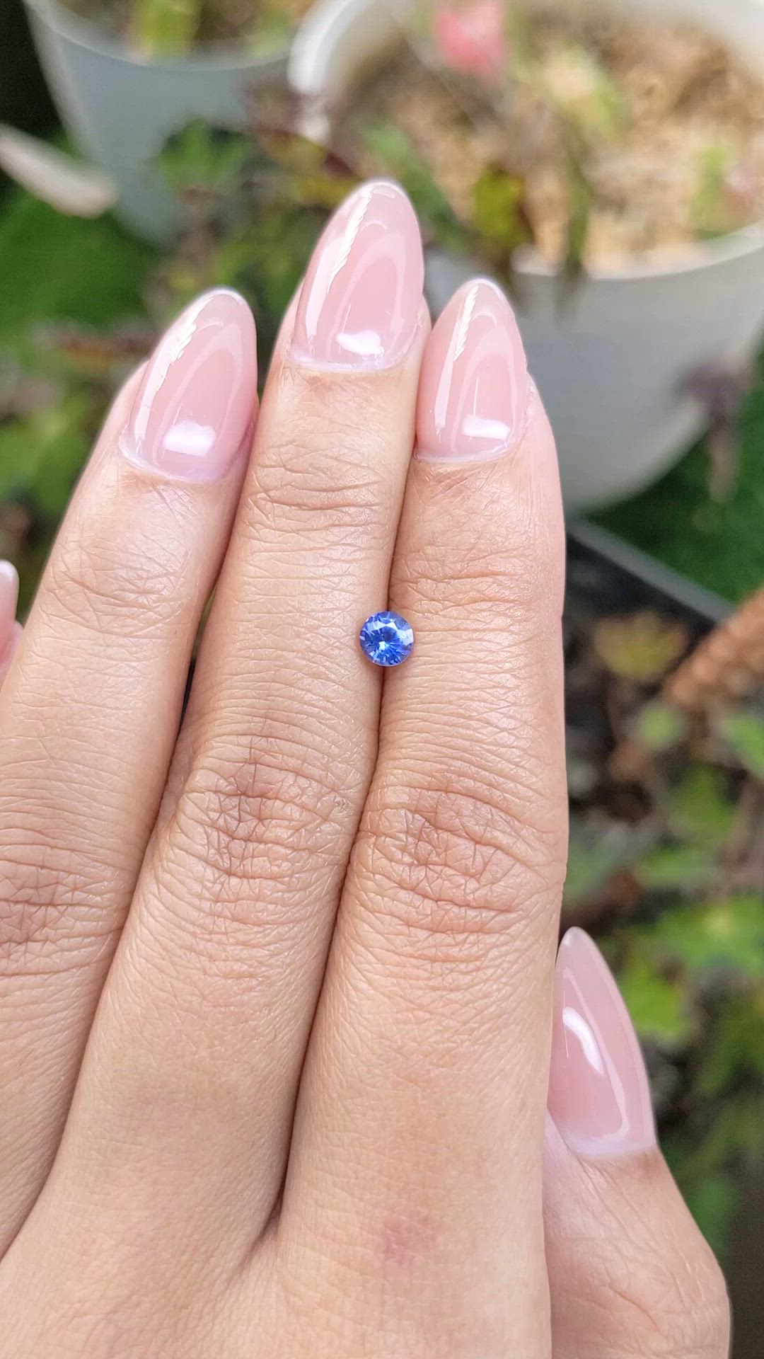 0.35 Ct. Blue Sapphire from Ceylon (Sri Lanka) Size Video
