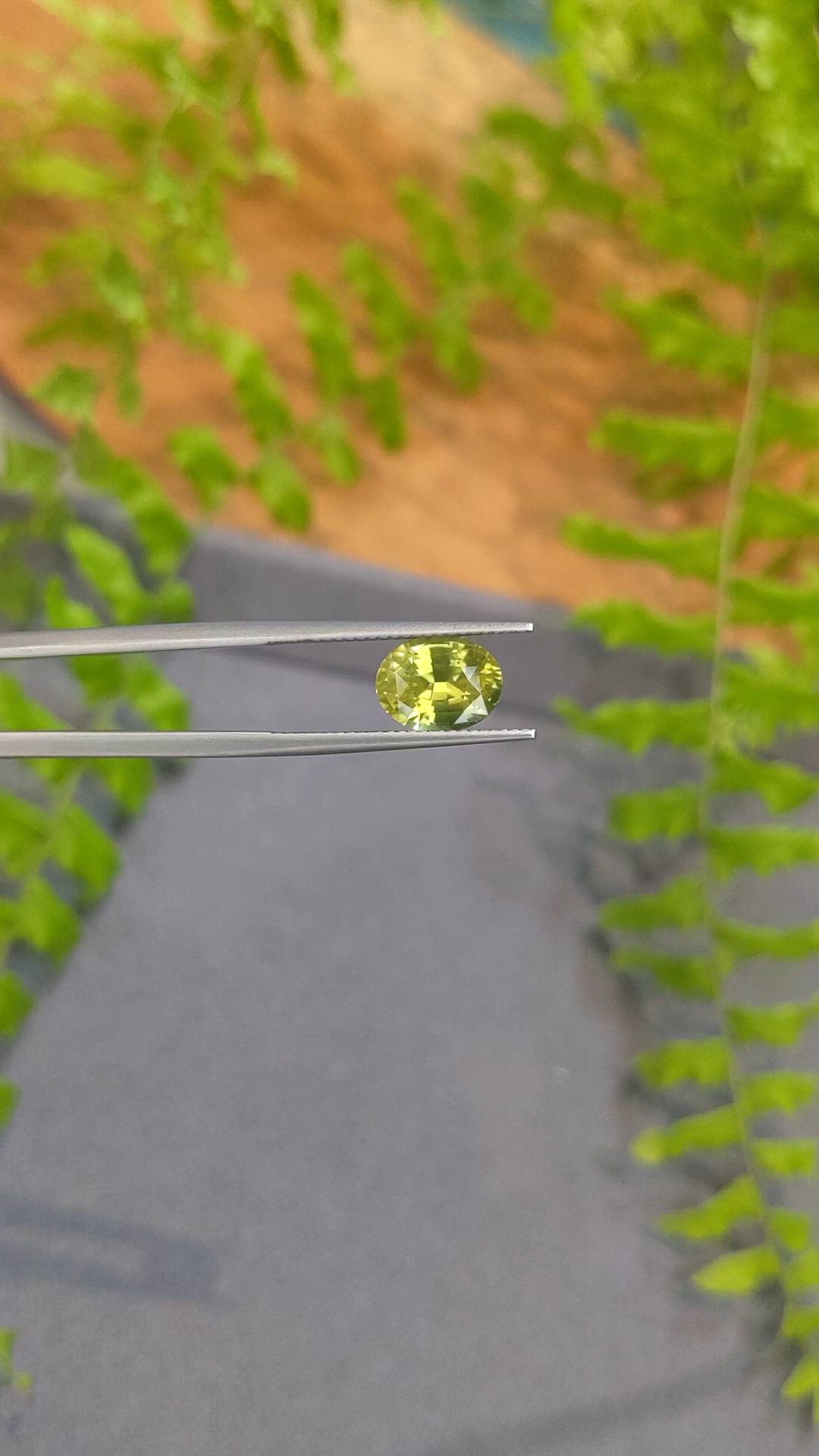3.66 Ct. Greenish Yellow Sapphire from Ceylon (Sri Lanka) Size Video