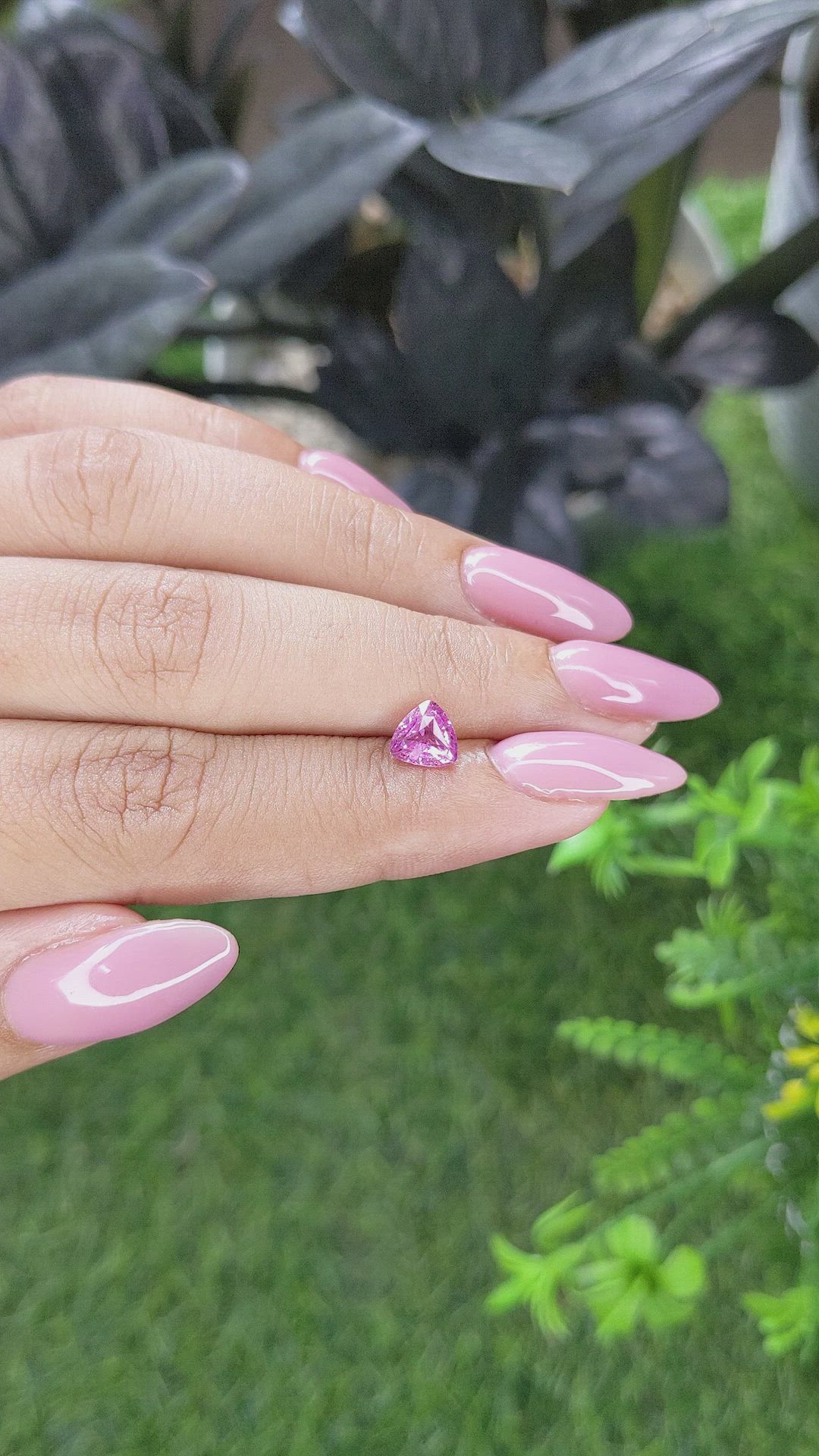 1.17 Ct. Pink Sapphire from Ceylon (Sri Lanka) Size Video