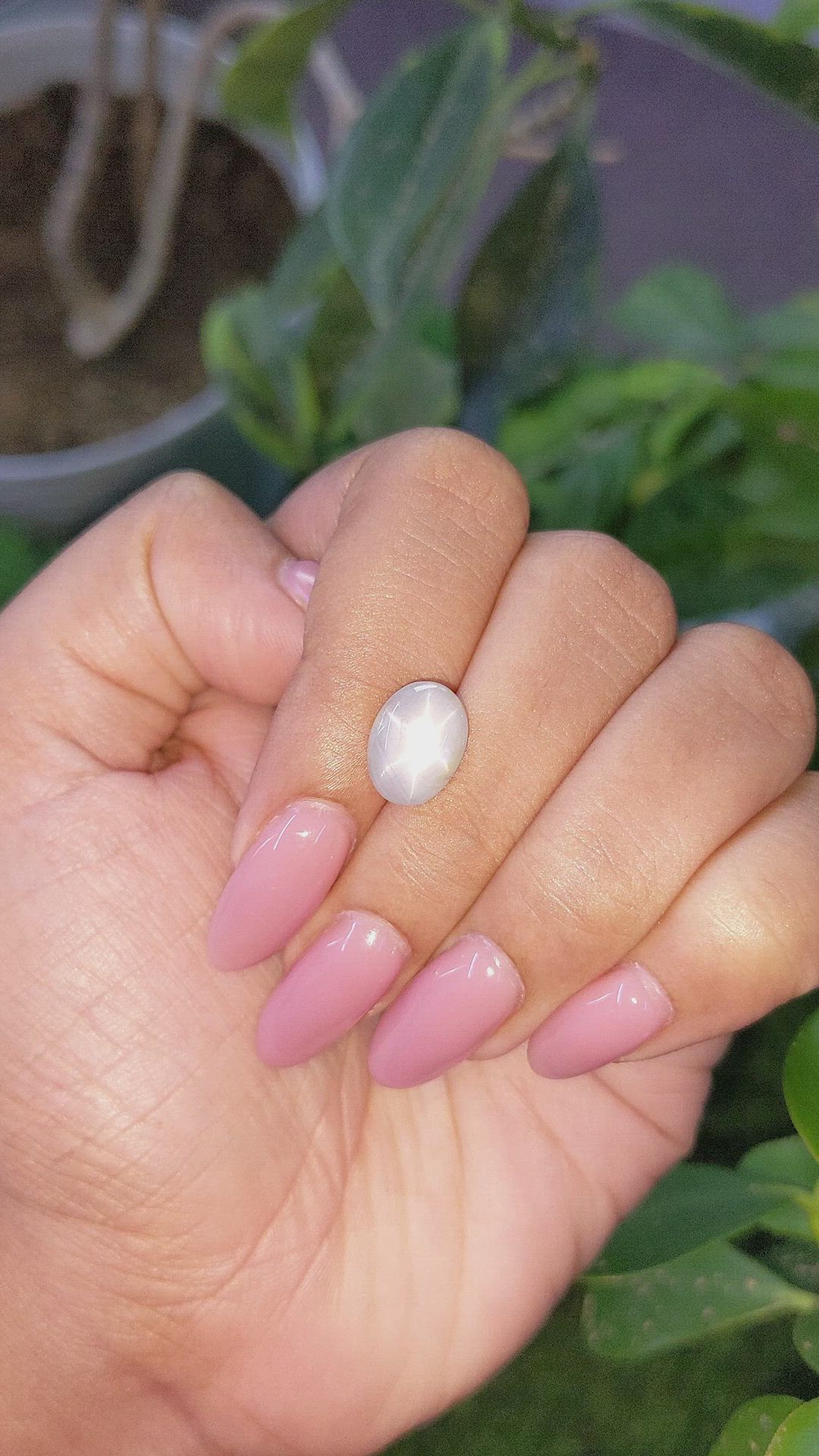5.76 Ct. Grey Star Sapphire from Ceylon (Sri Lanka) Size Video