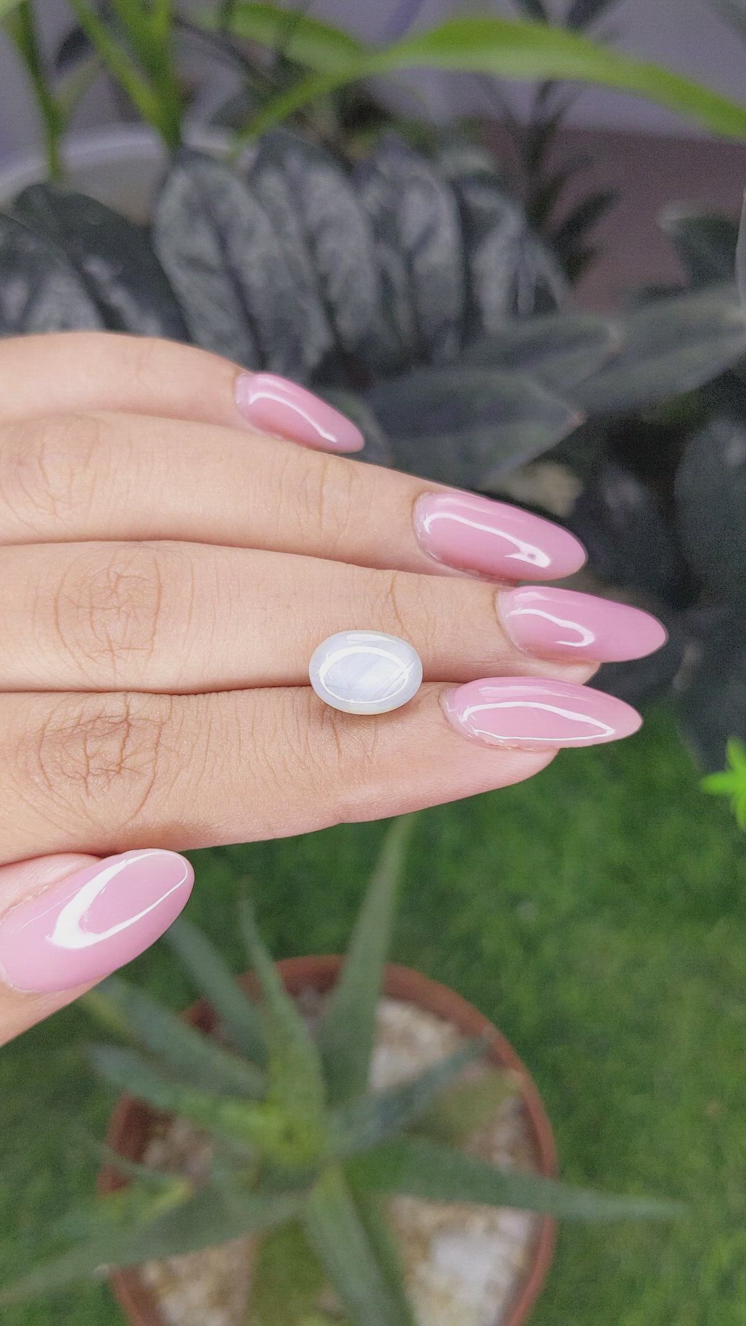 5.76 Ct. Grey Star Sapphire from Ceylon (Sri Lanka) Size Video