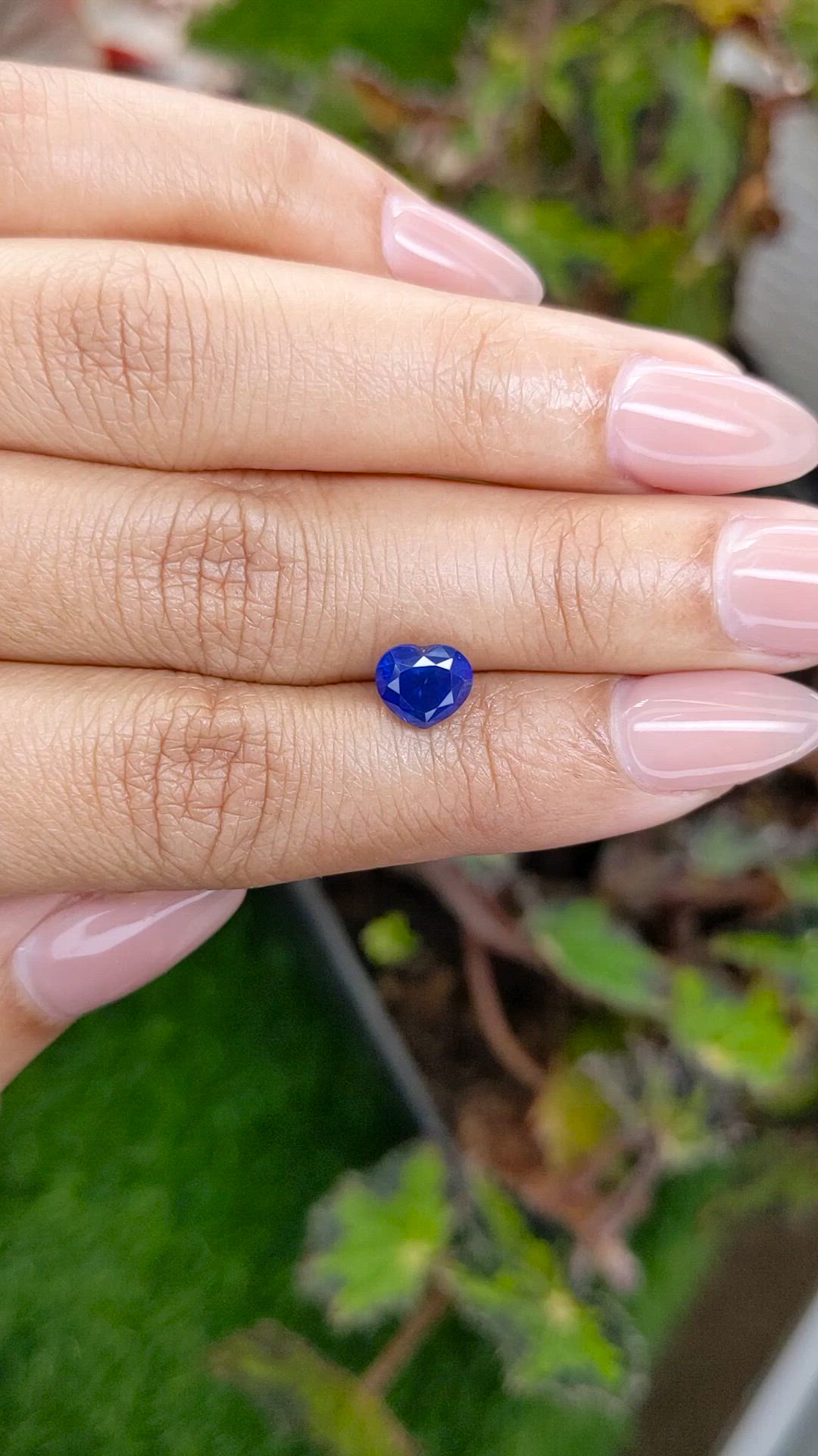 1.98 Ct. Blue Sapphire from Ceylon (Sri Lanka) Size Video