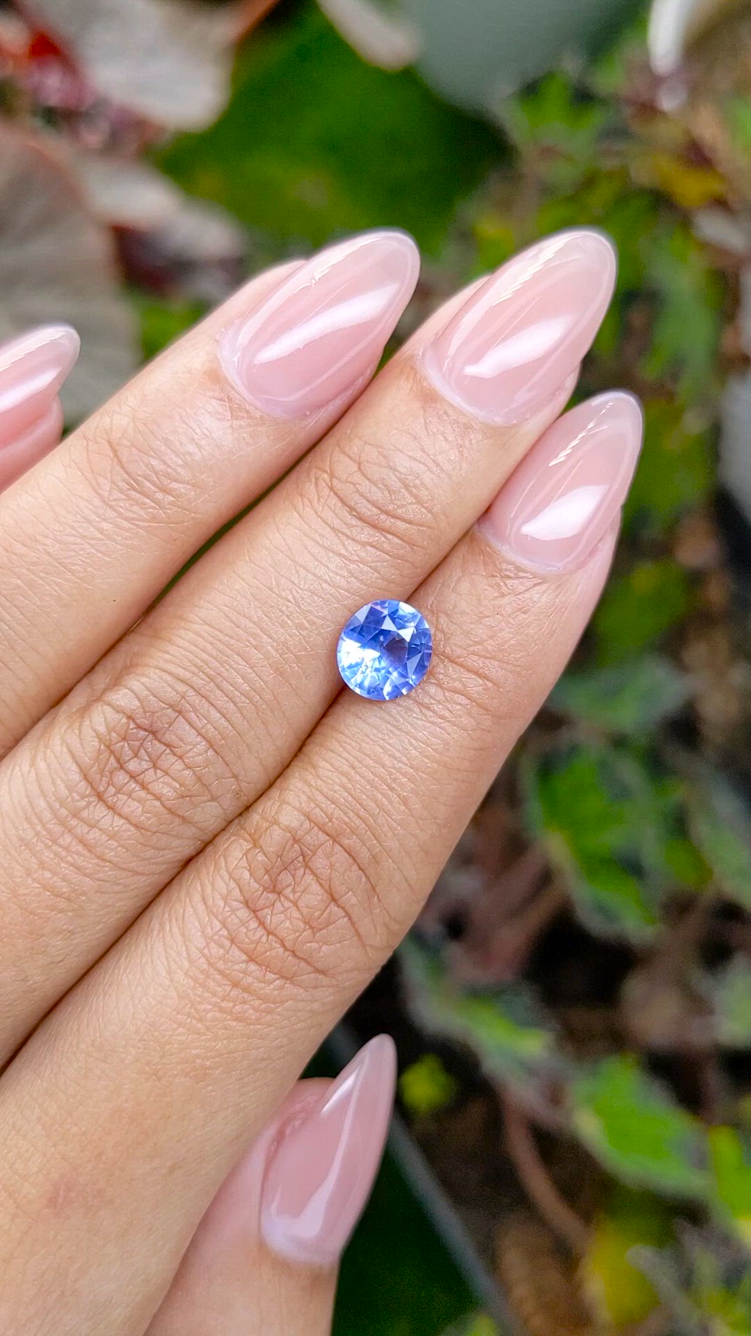 1.95 Ct. Blue Sapphire from Ceylon (Sri Lanka) Size Video