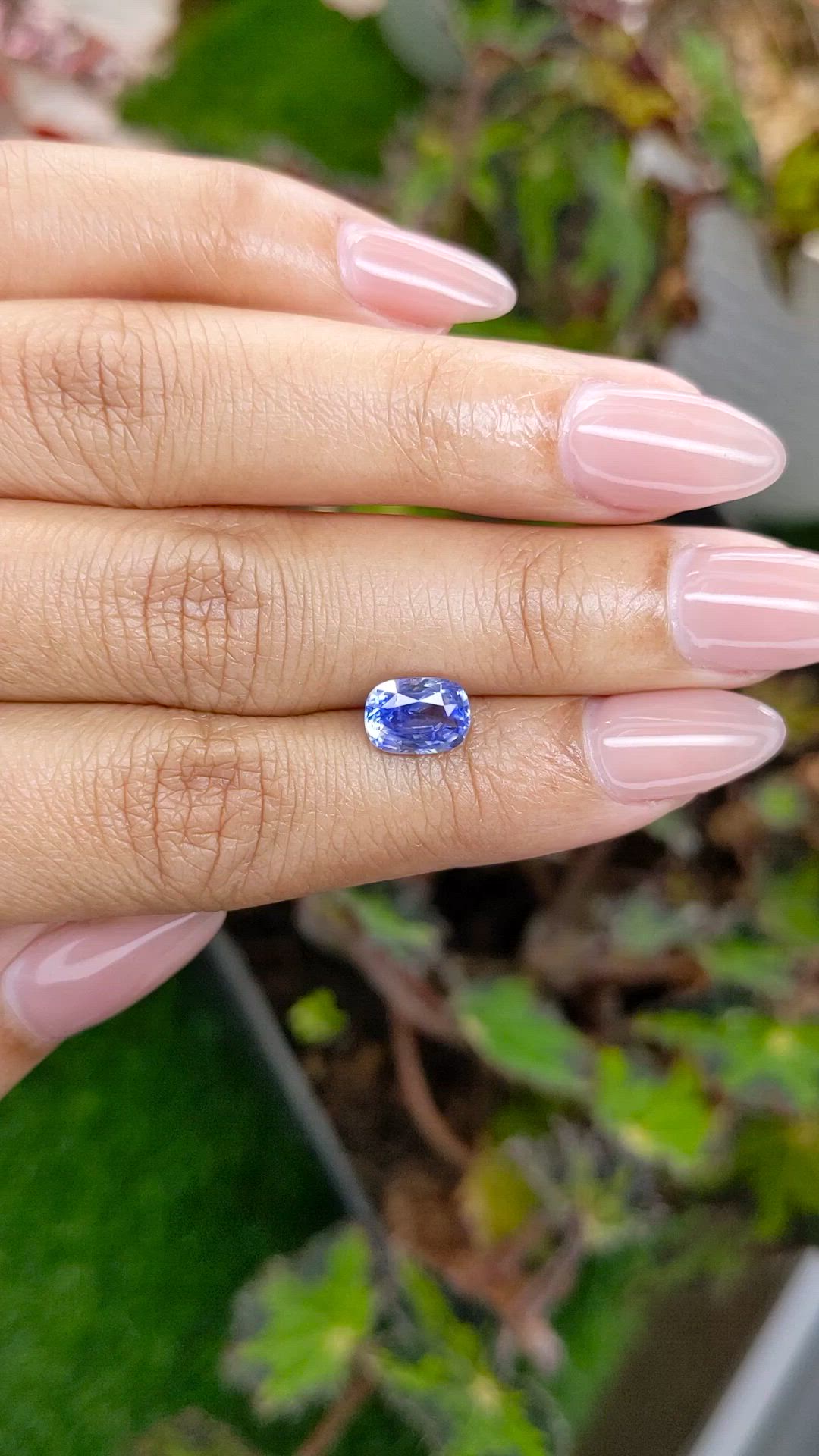1.97 Ct. Blue Sapphire from Ceylon (Sri Lanka) Size Video